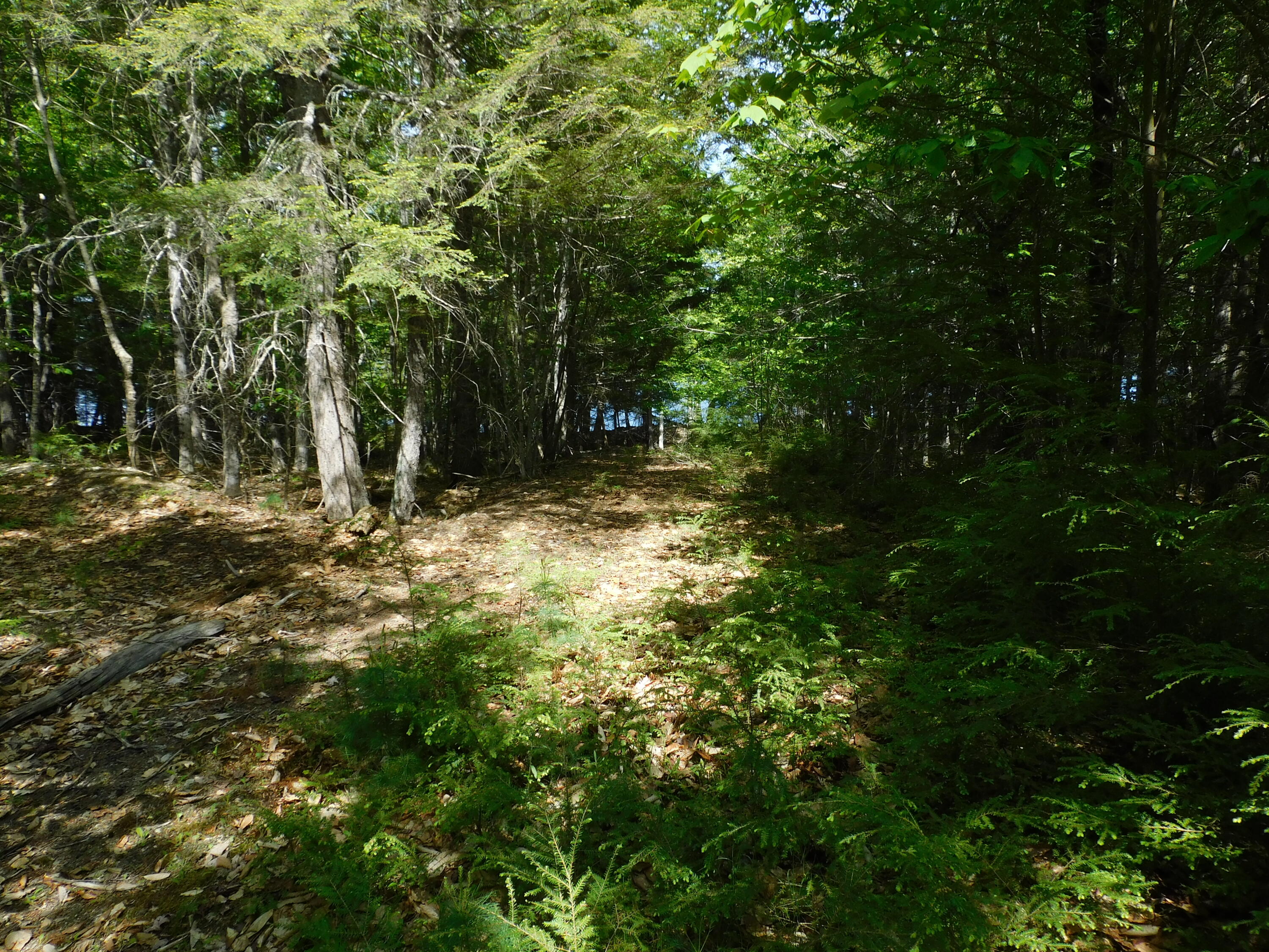 Lot 2 Big Lake Shores Road Property Photo 8