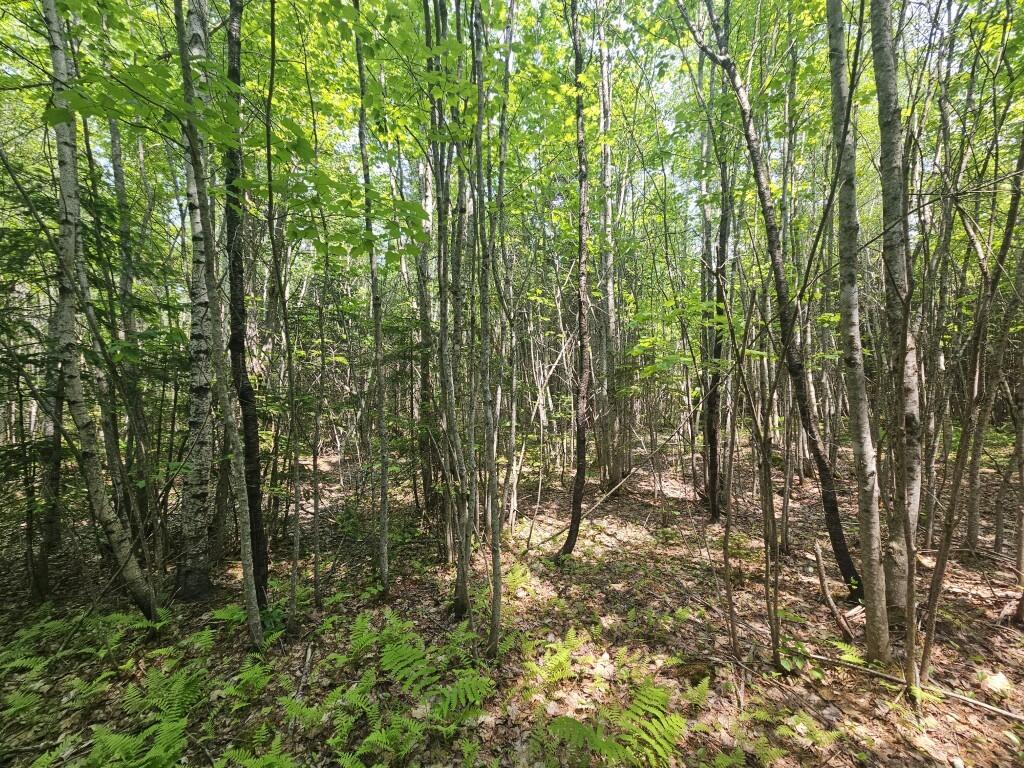 P/o 2016 Hudson Road Property Photo 2