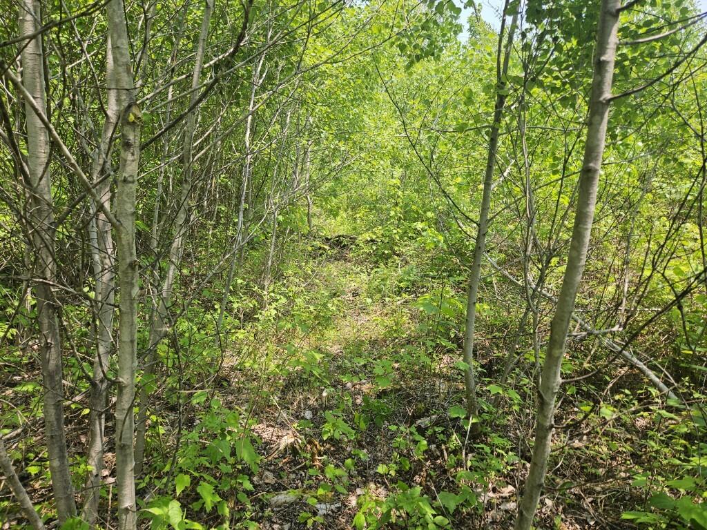 P/o 2016 Hudson Road Property Photo 5