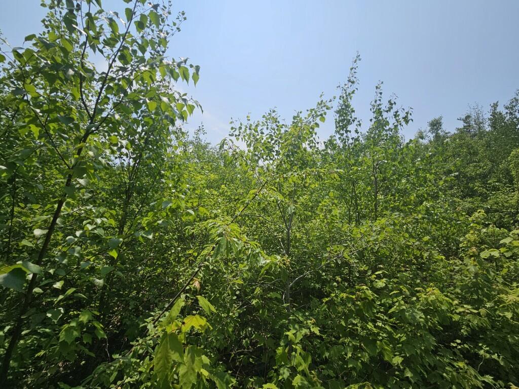 P/o 2016 Hudson Road Property Photo 6