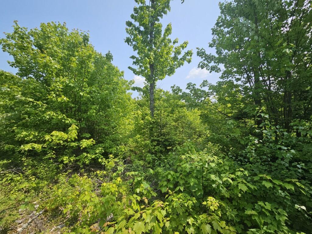 P/o 2016 Hudson Road Property Photo 8