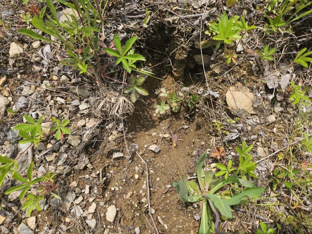 P/o 2016 Hudson Road Property Photo 13