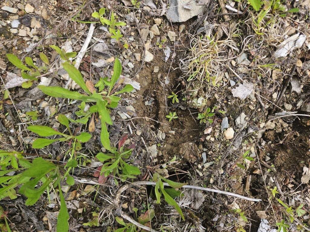 P/o 2016 Hudson Road Property Photo 14