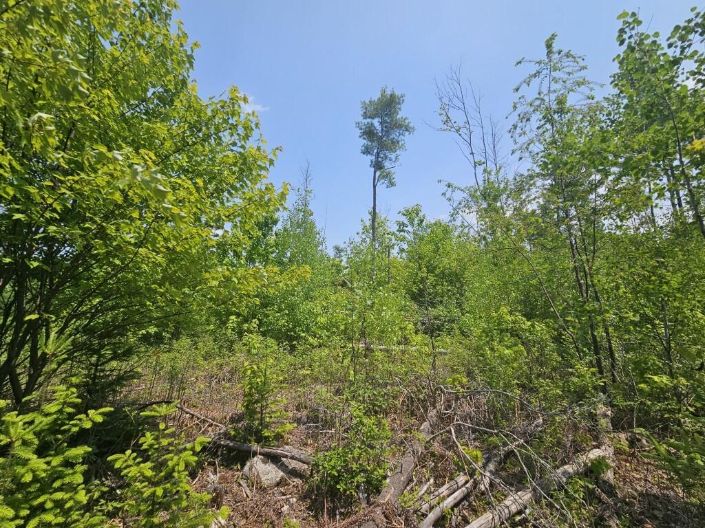 P/o 2016 Hudson Road Property Photo 15