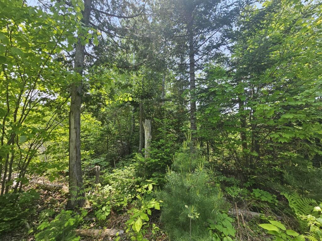 P/o 2016 Hudson Road Property Photo 16