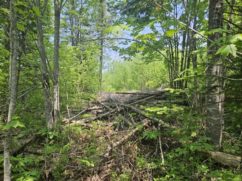 P/o 2016 Hudson Road Property Photo 17