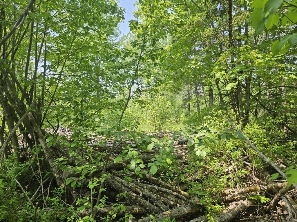 P/o 2016 Hudson Road Property Photo 18