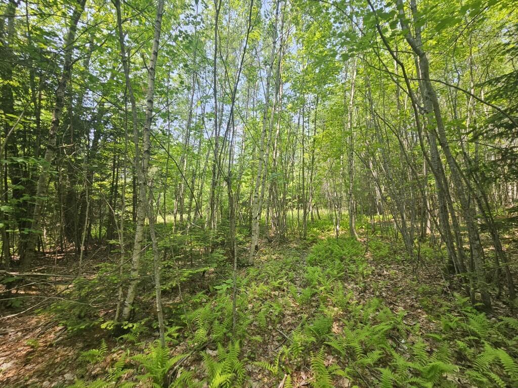 P/o 2016 Hudson Road Property Photo 19