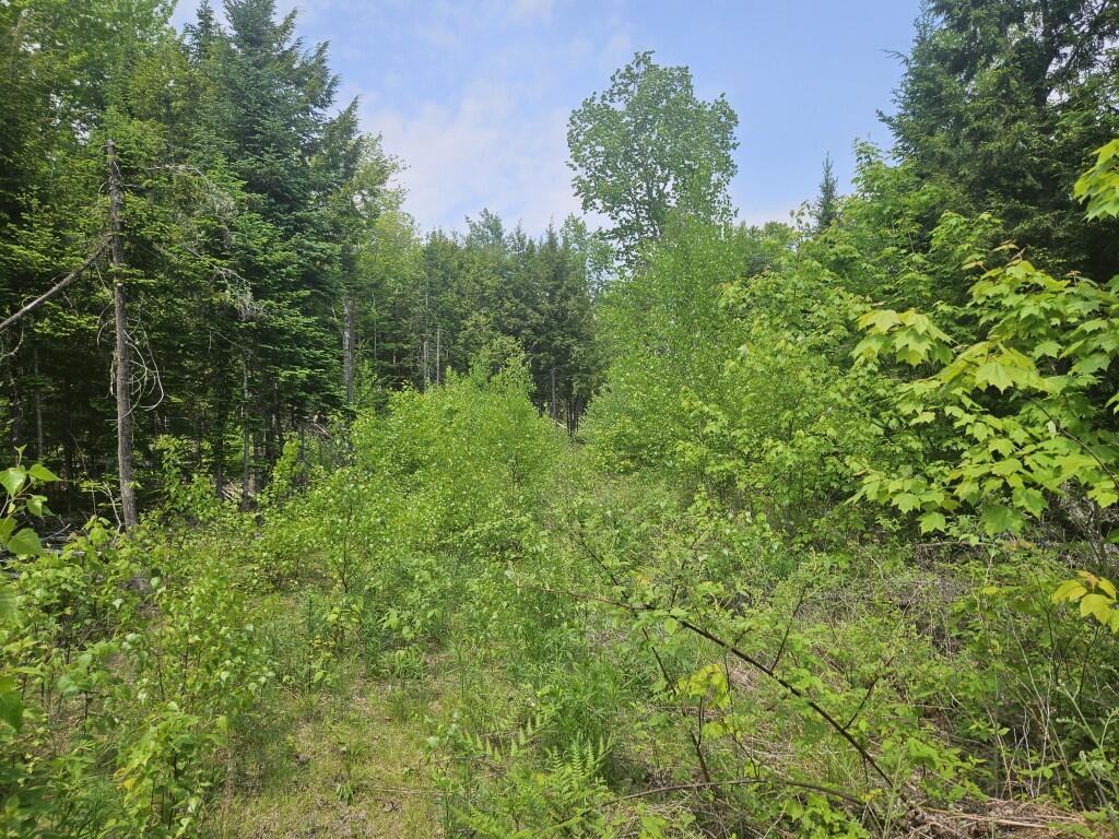 P/o 2016 Hudson Road Property Photo 24