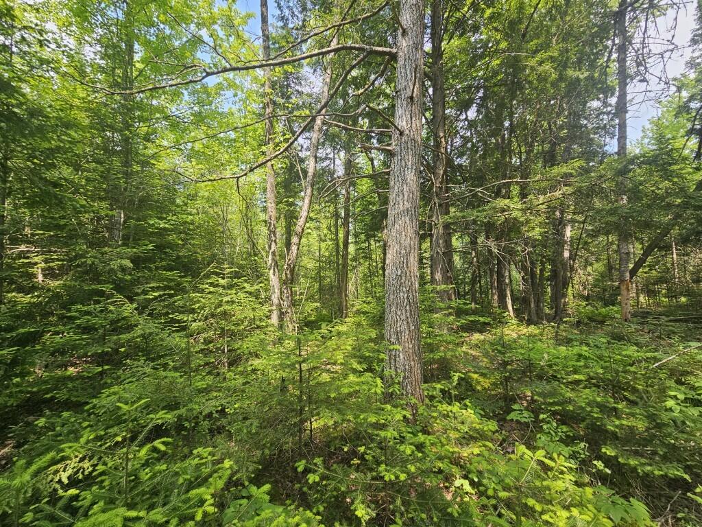 P/o 2016 Hudson Road Property Photo 25