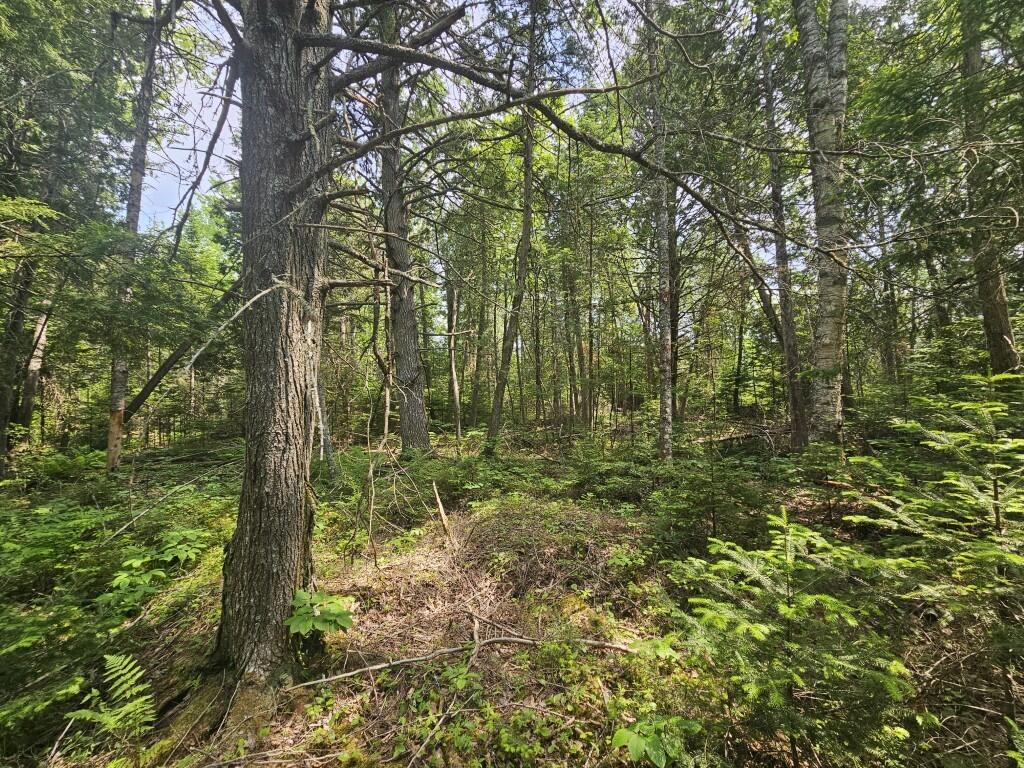 P/o 2016 Hudson Road Property Photo 26