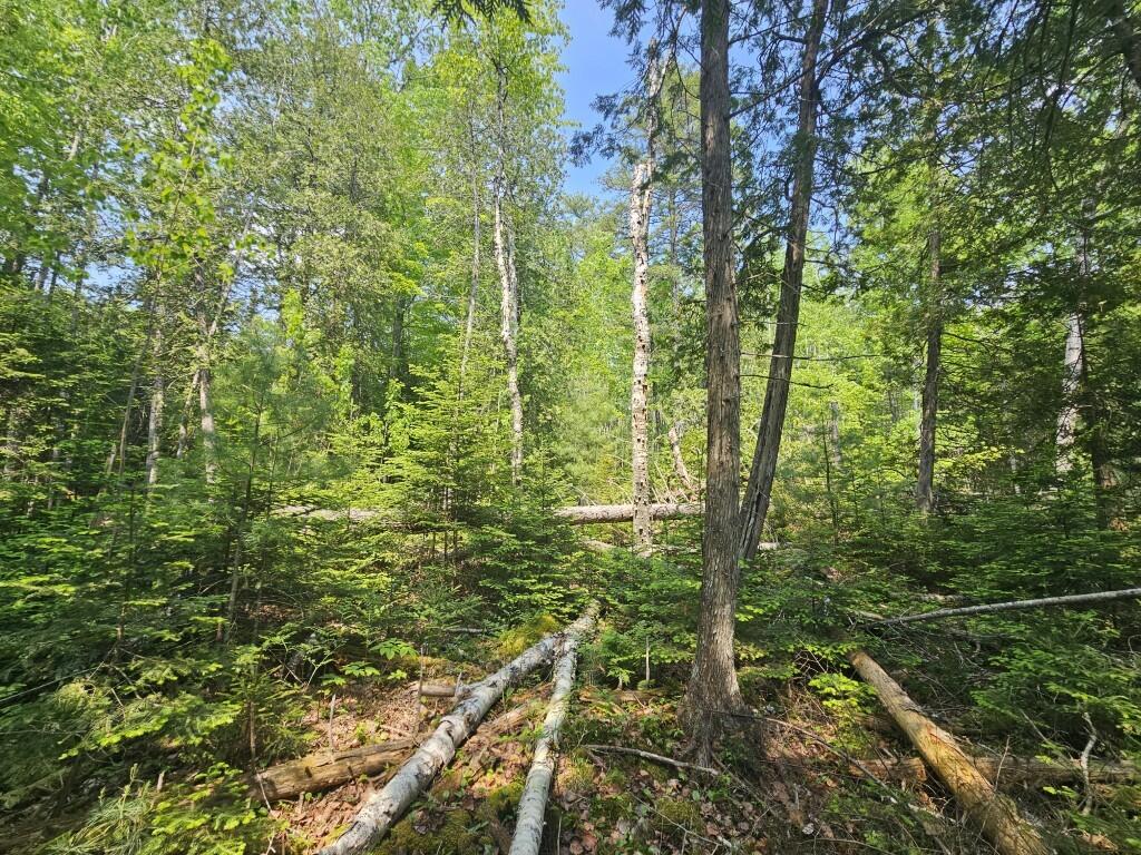 P/o 2016 Hudson Road Property Photo 28