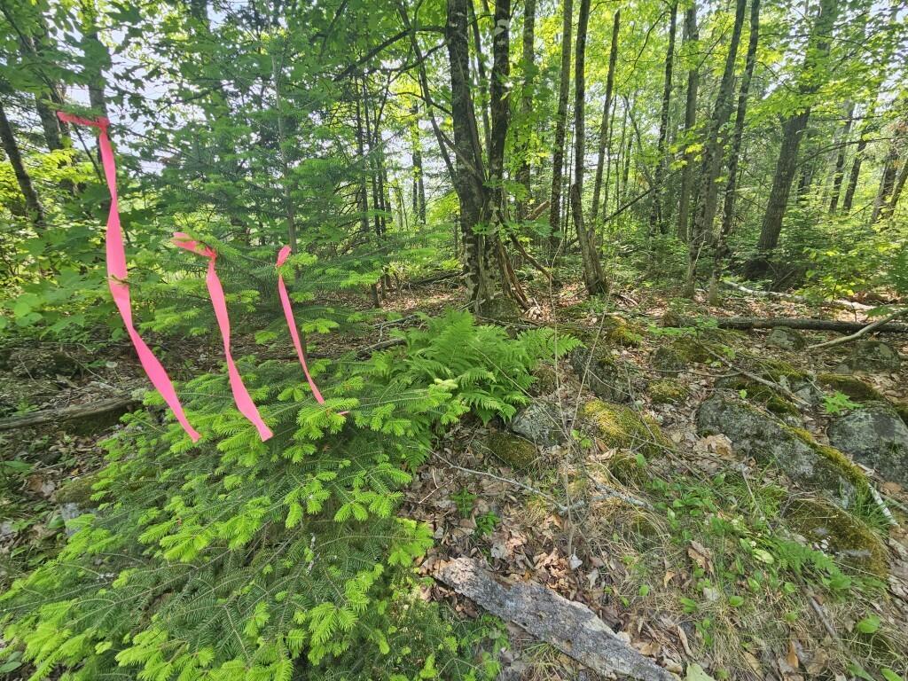 P/o 2016 Hudson Road Property Photo 30