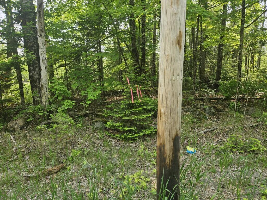 P/o 2016 Hudson Road Property Photo 31