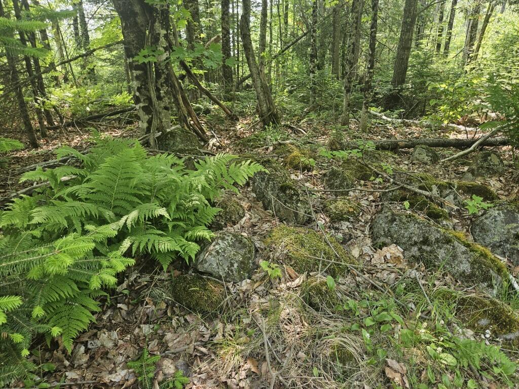 P/o 2016 Hudson Road Property Photo 32
