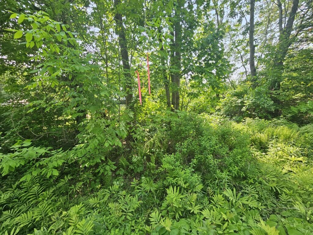 P/o 2016 Hudson Road Property Photo 33