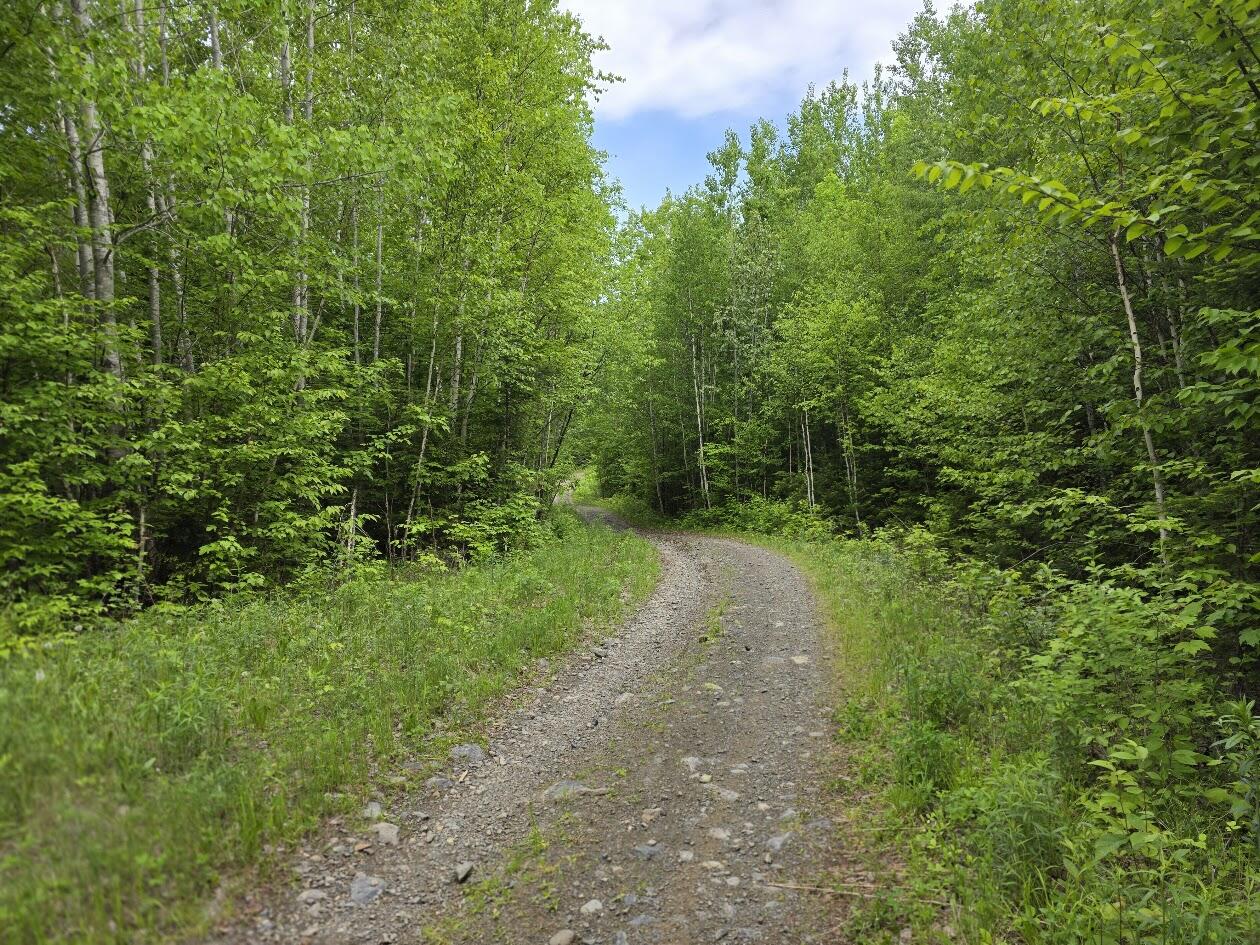 M 22 L 44A Beaver Dam Point Road EXT Property Photo 1
