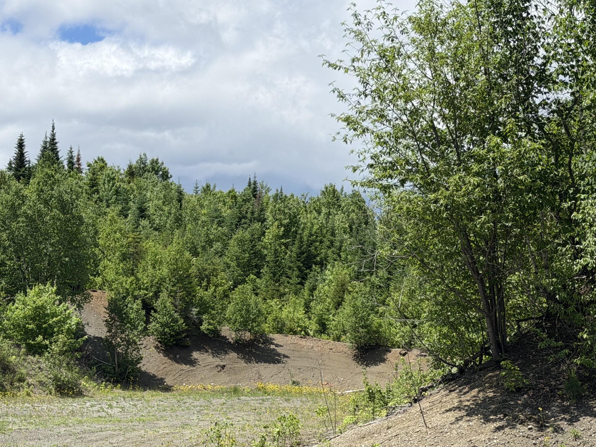 Lot 35 Mountain View Trail Property Photo 1