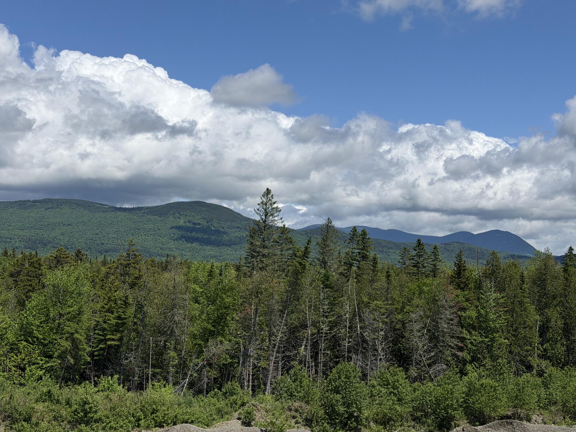 Lot 35 Mountain View Trail Property Photo 3