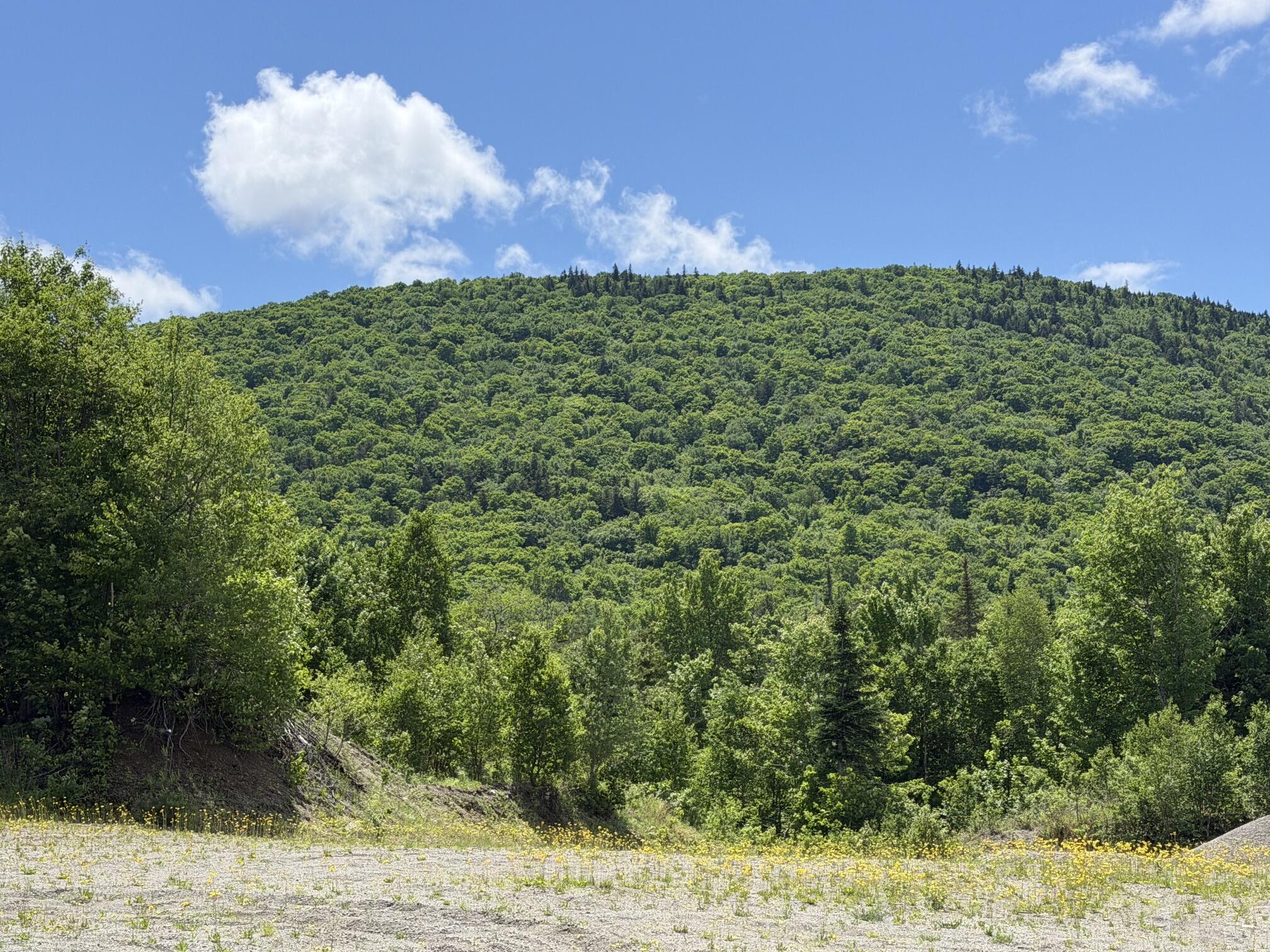 Lot 35 Mountain View Trail Property Photo 5