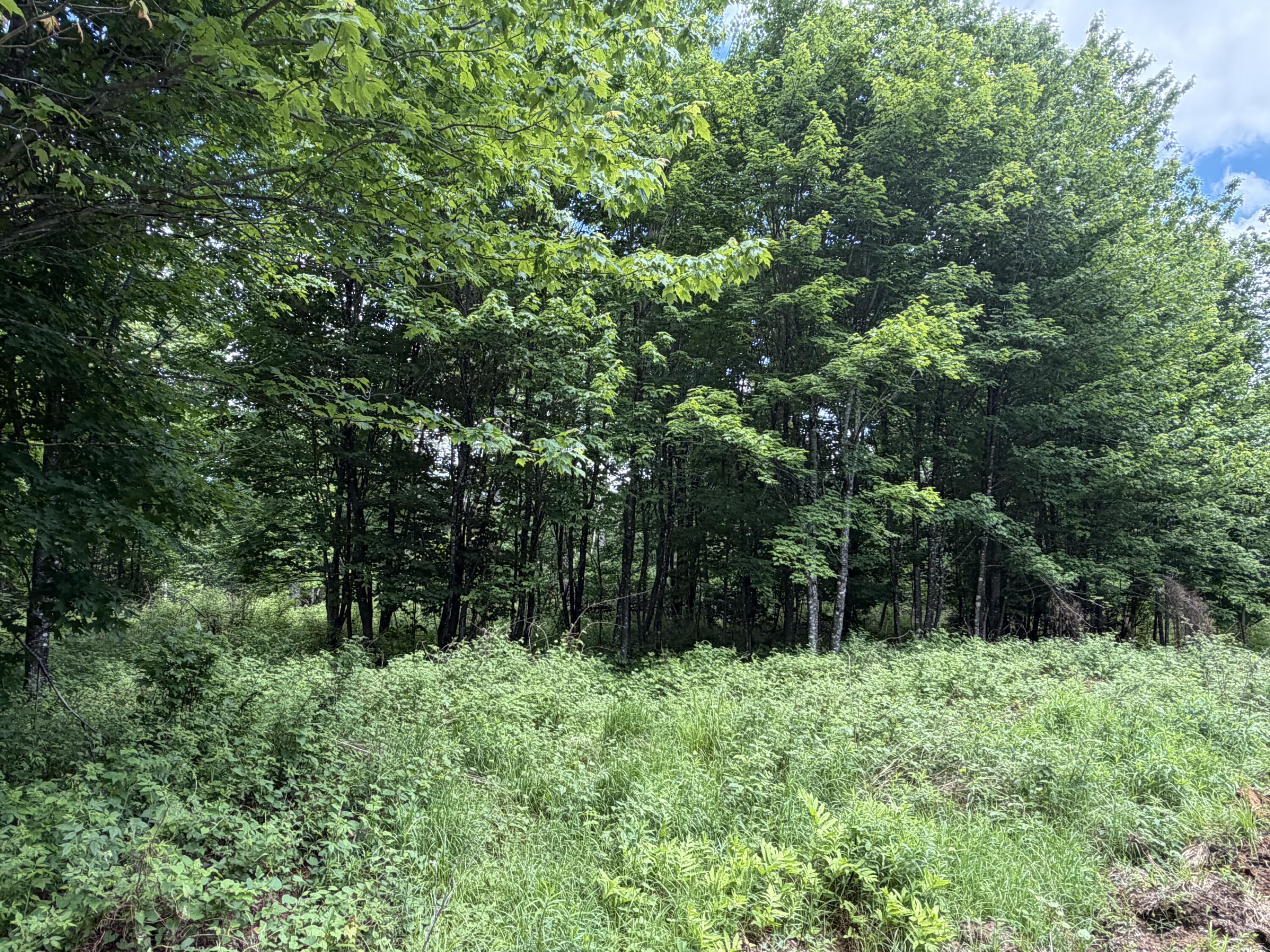 Lot 35 Mountain View Trail Property Photo 9