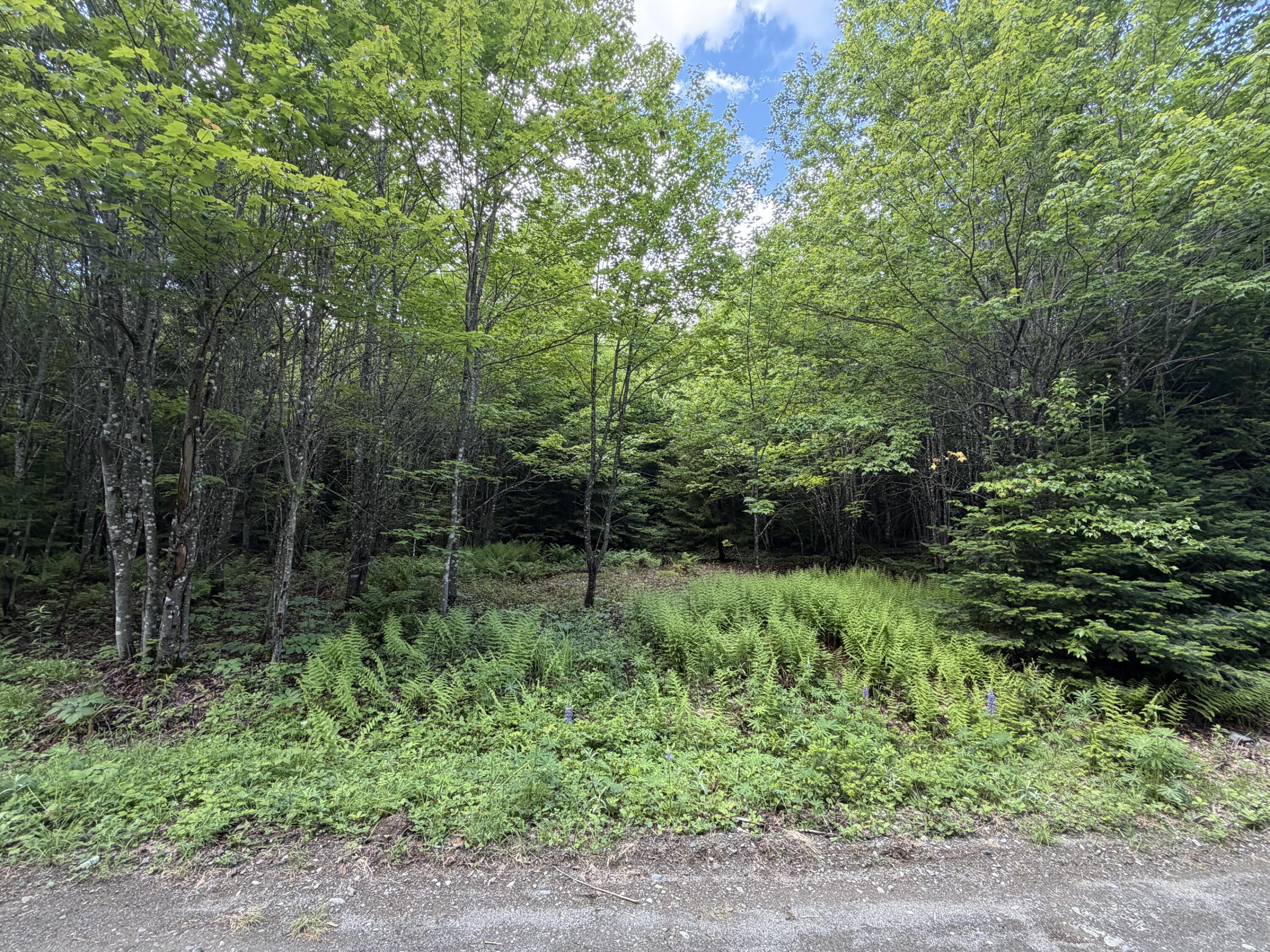 Lot 35 Mountain View Trail Property Photo 13
