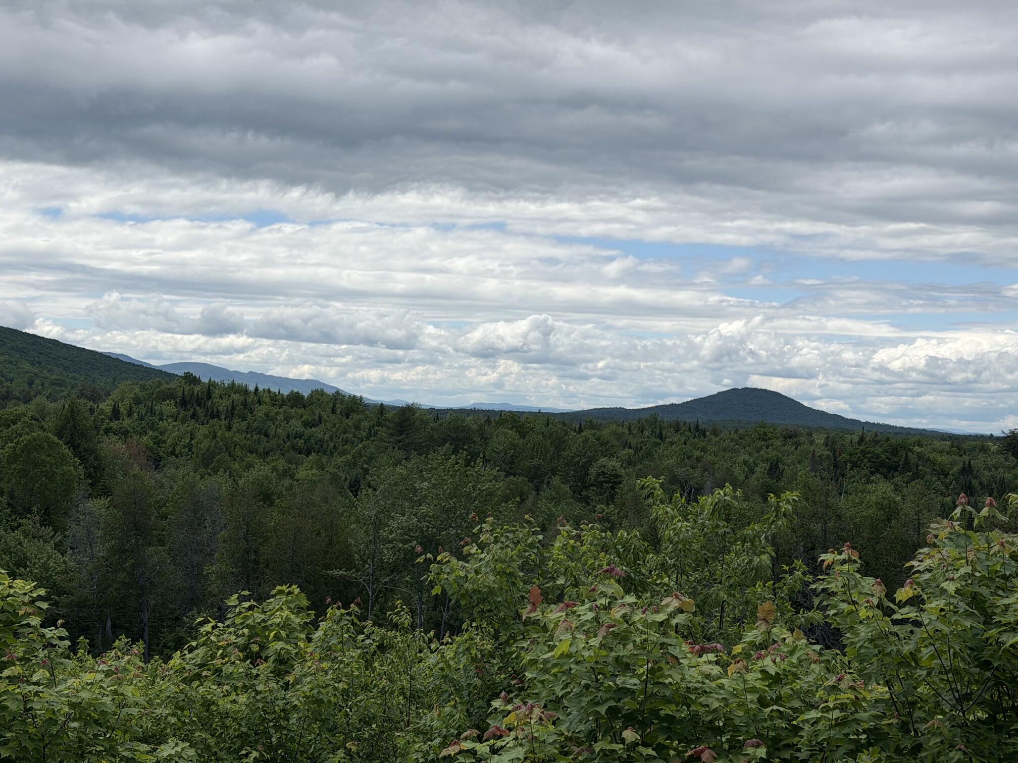 Lot 35 Mountain View Trail Property Photo 14