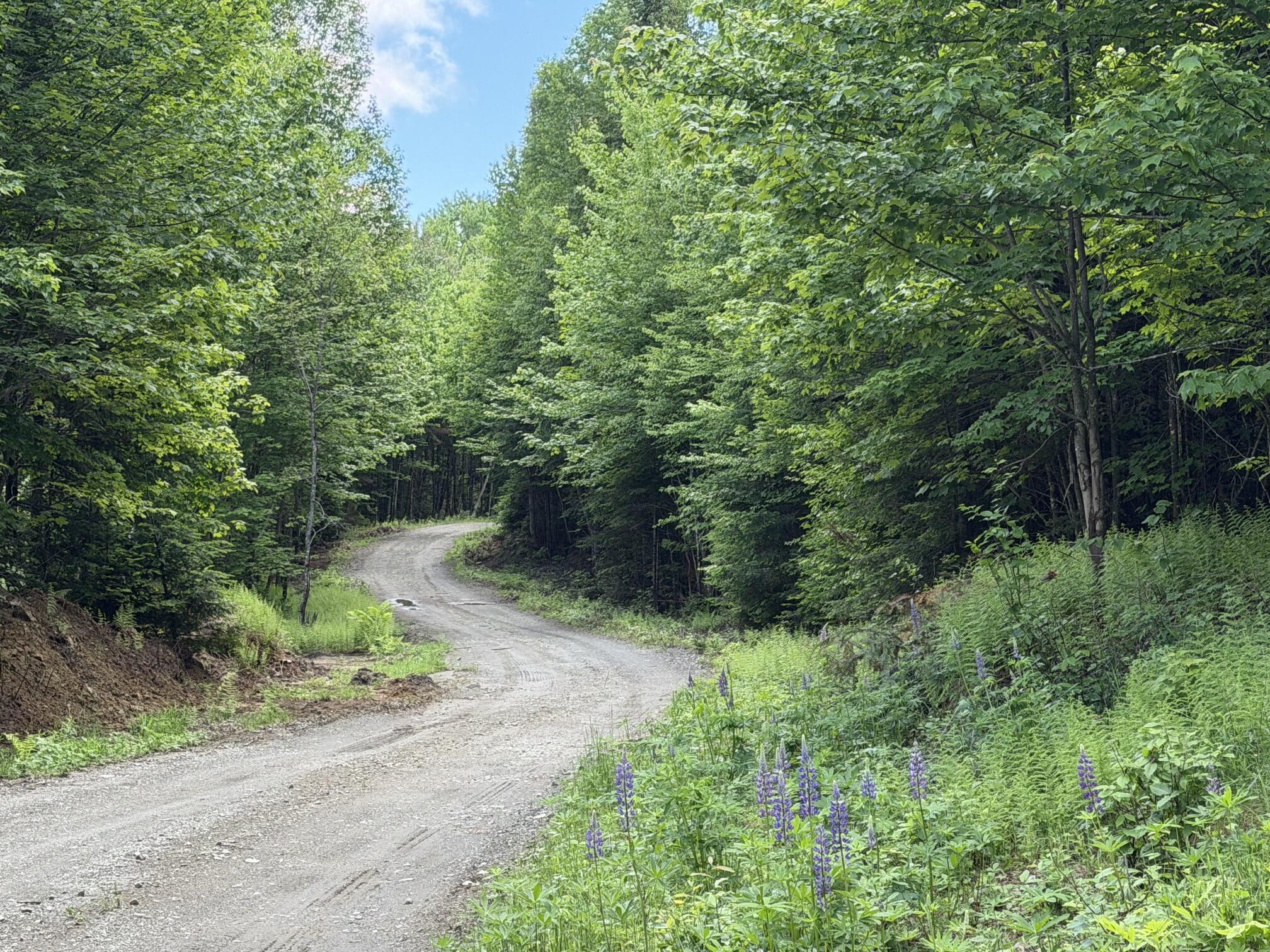 Lot 35 Mountain View Trail Property Photo 15