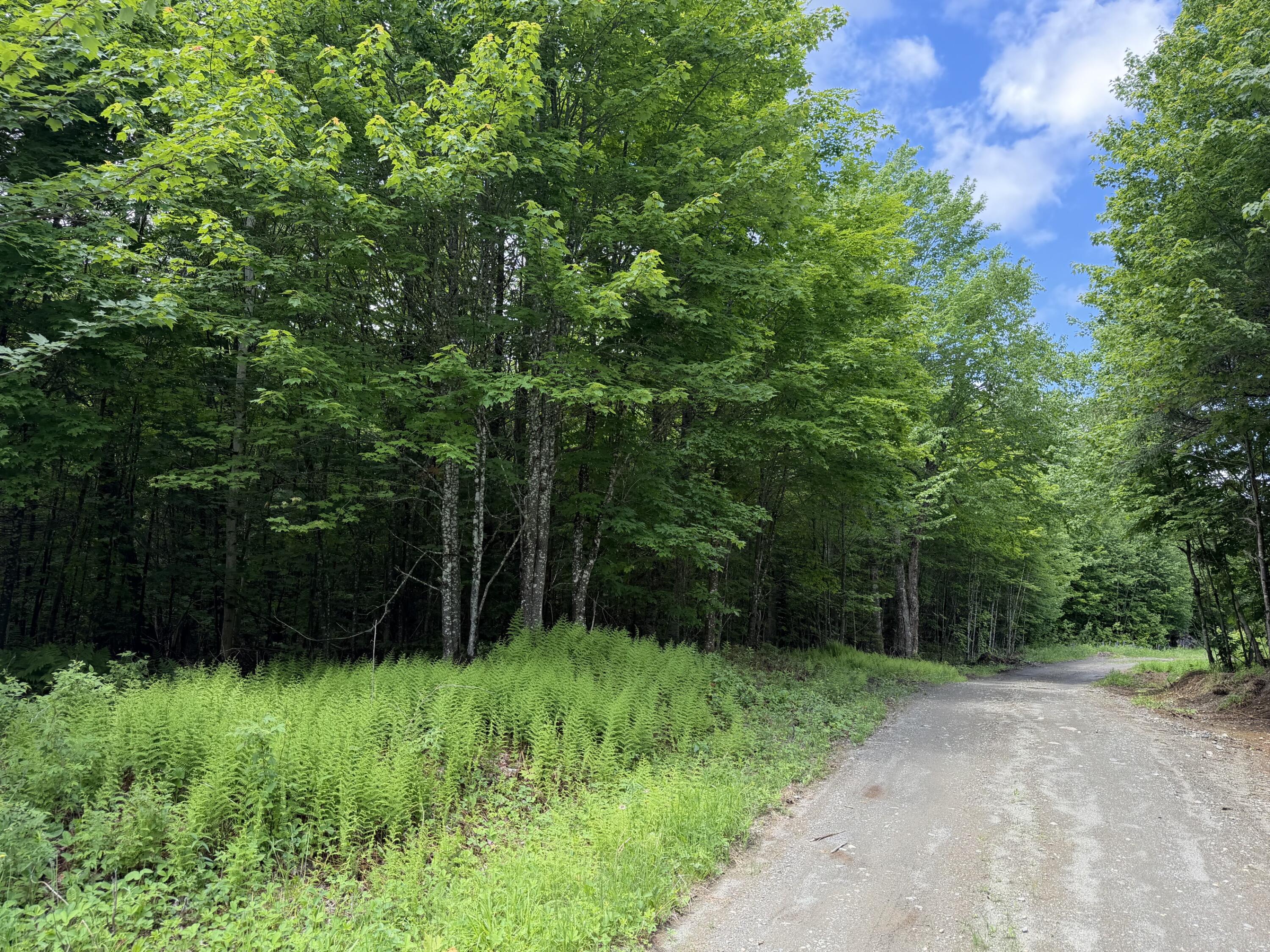 Lot 35 Mountain View Trail Property Photo 16