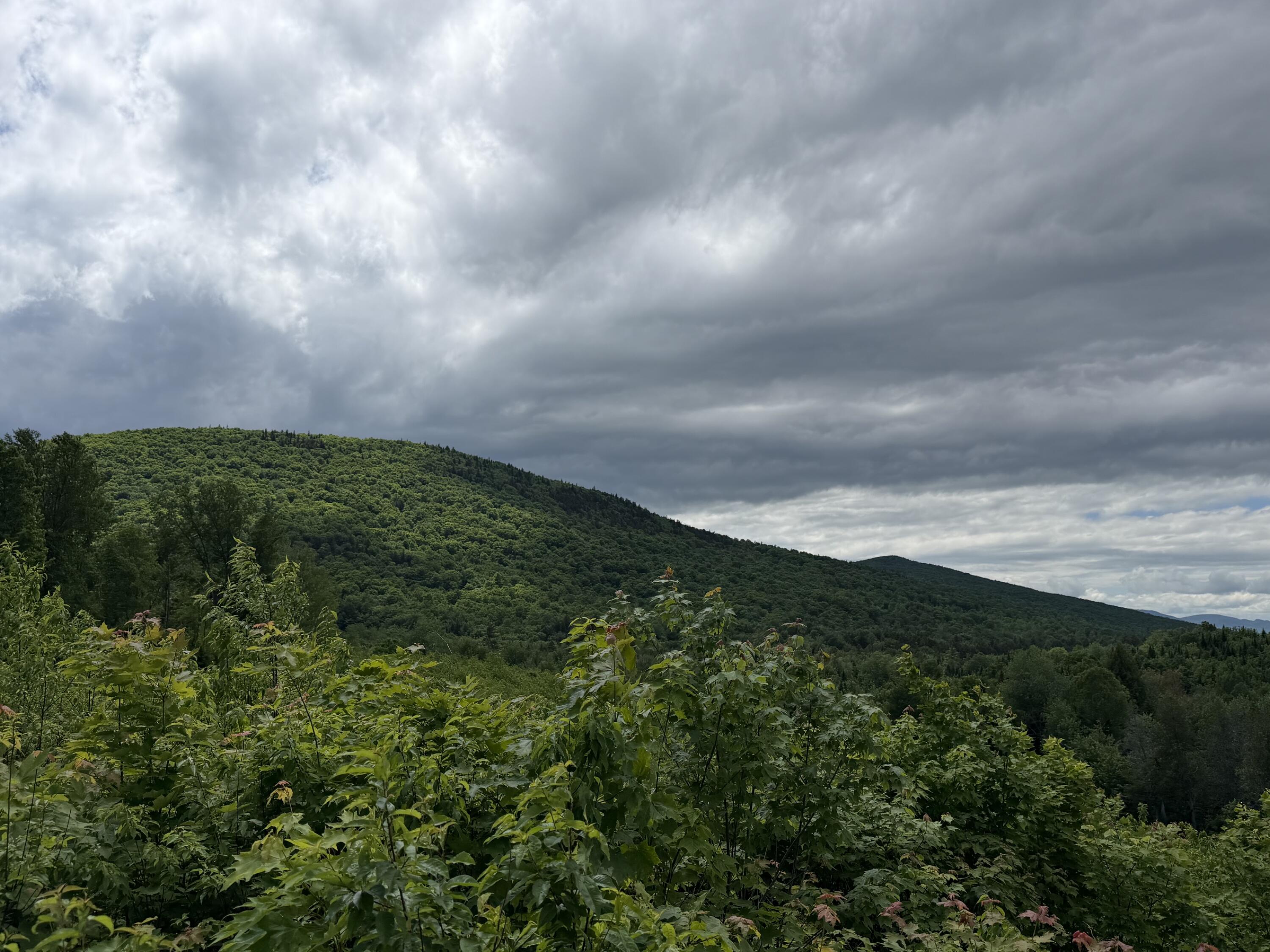Lot 35 Mountain View Trail Property Photo 17