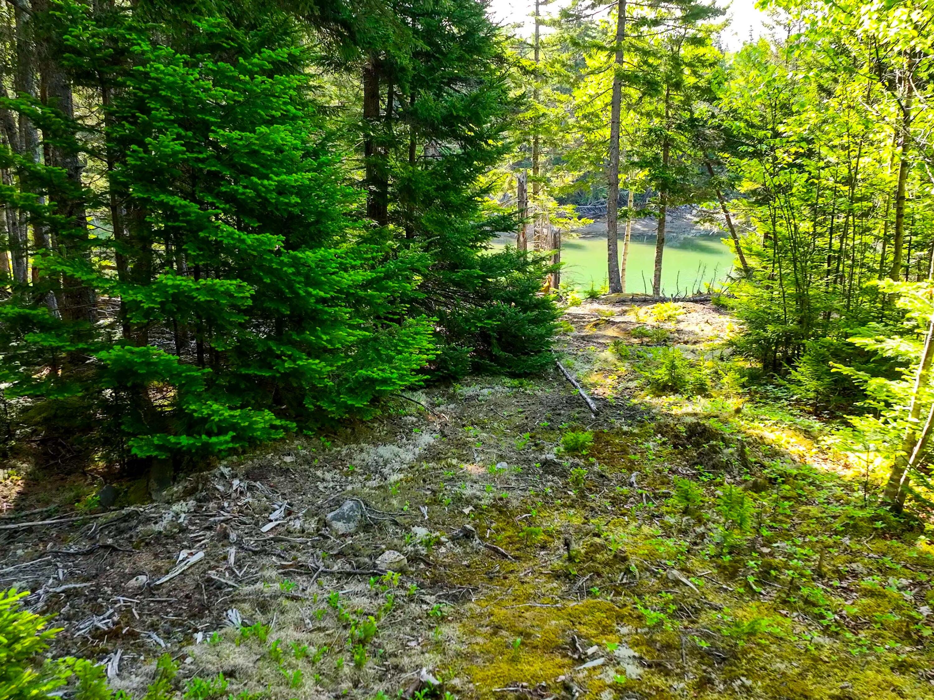 M2 L43 Old Wagon Trail Road Property Photo 16
