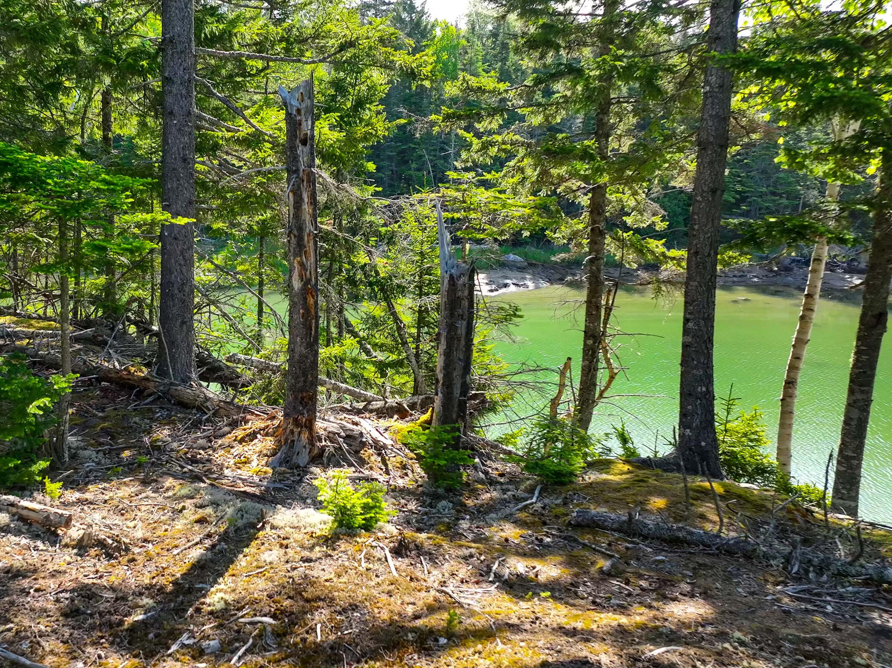 M2 L43 Old Wagon Trail Road Property Photo 17