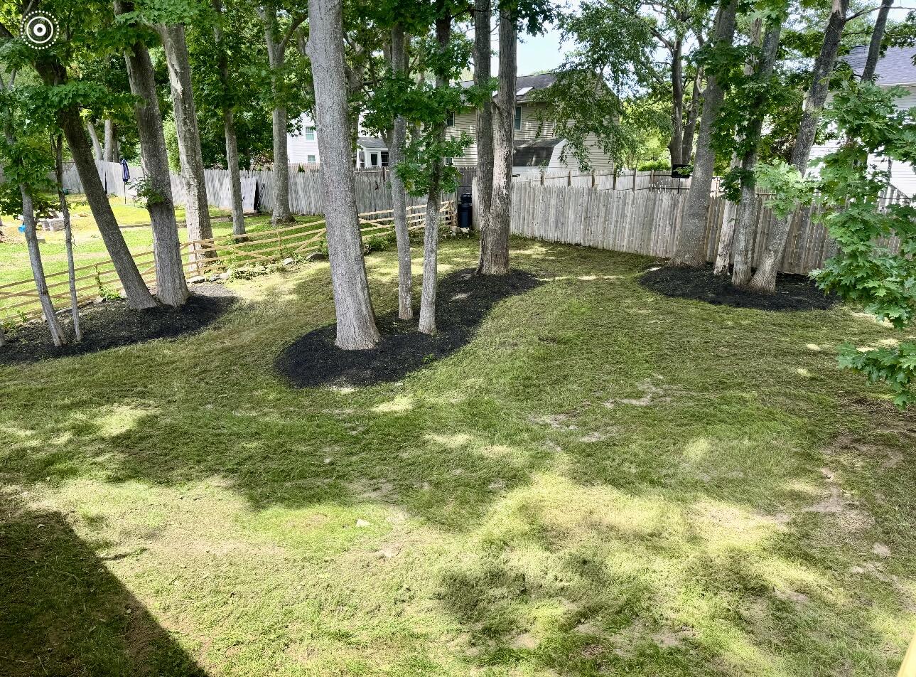 211 Alfred Street Property Photo 8