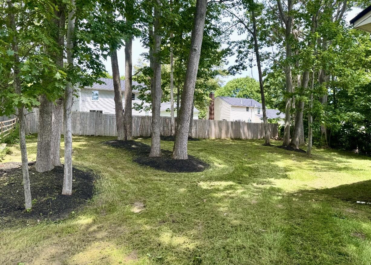 211 Alfred Street Property Photo 9