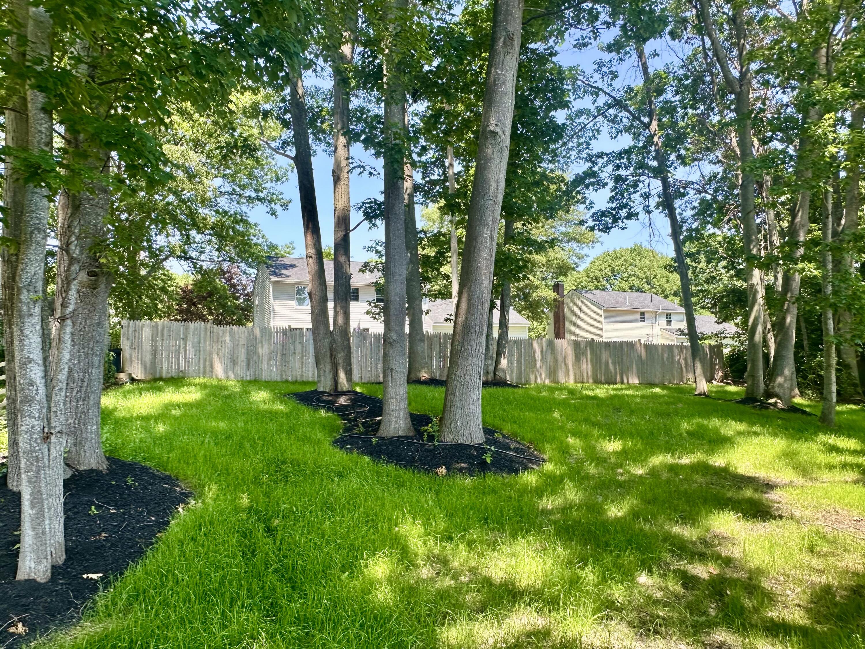211 Alfred Street Property Photo 12