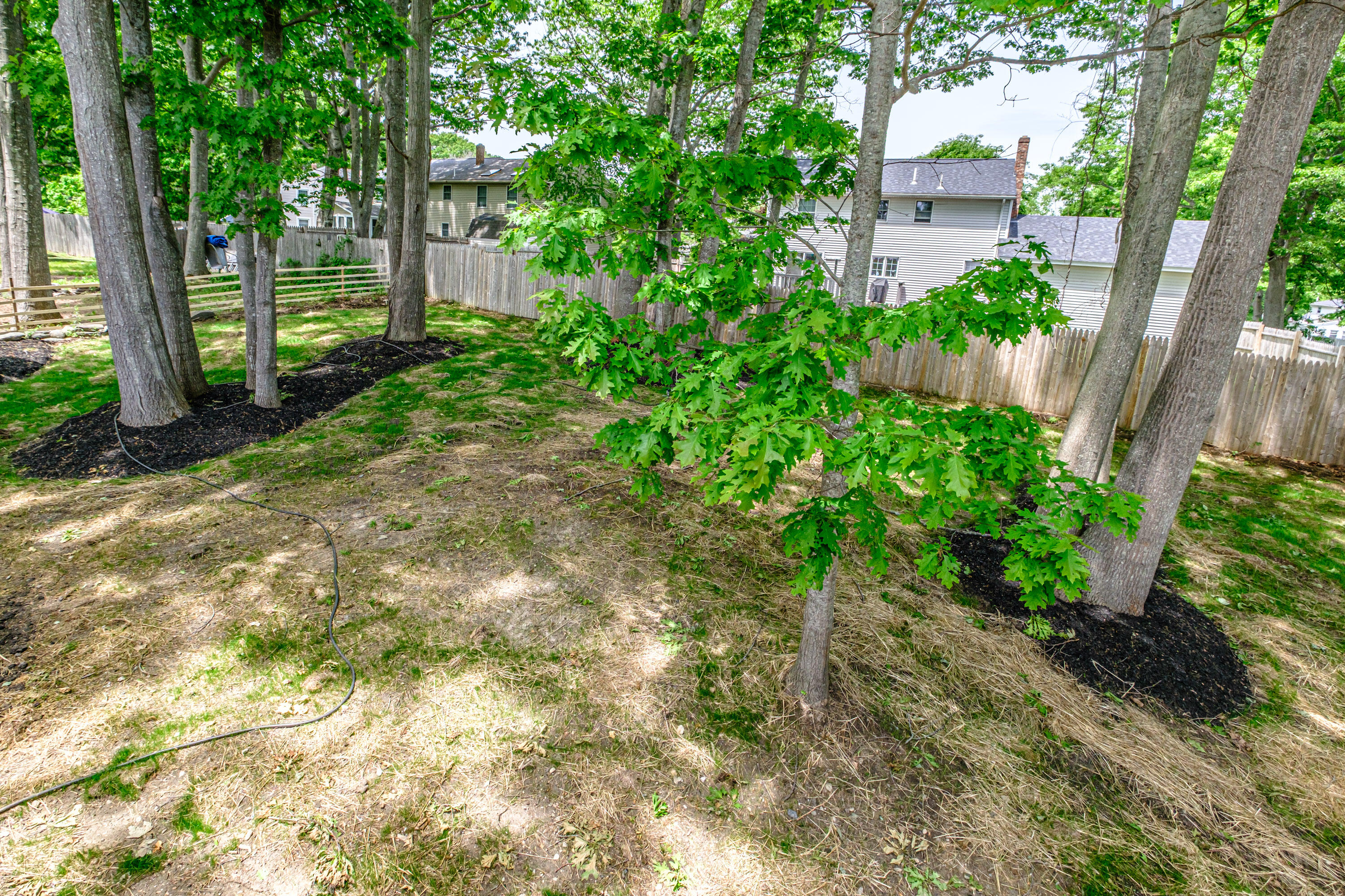 211 Alfred Street Property Photo 18
