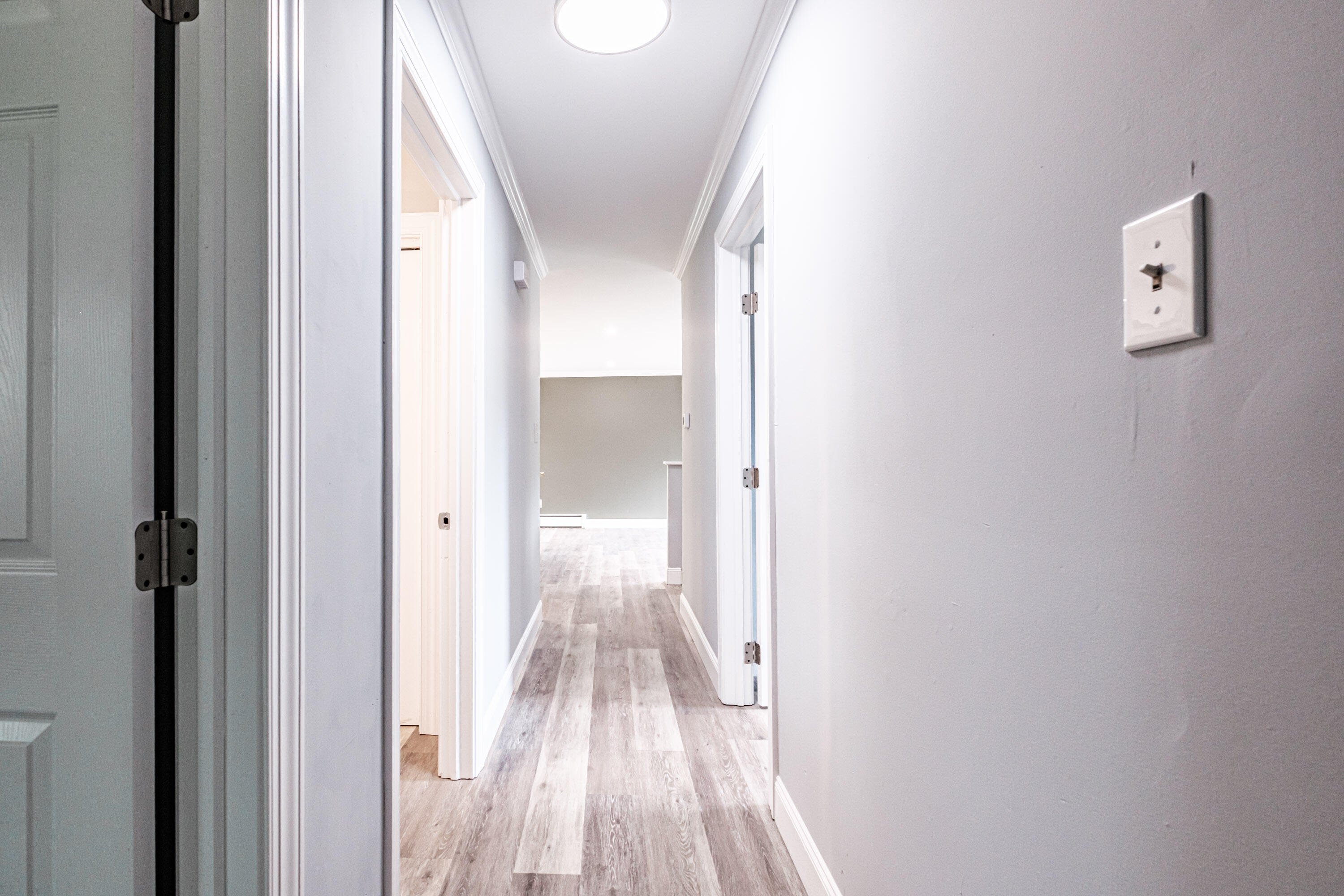 211 Alfred Street Property Photo 50