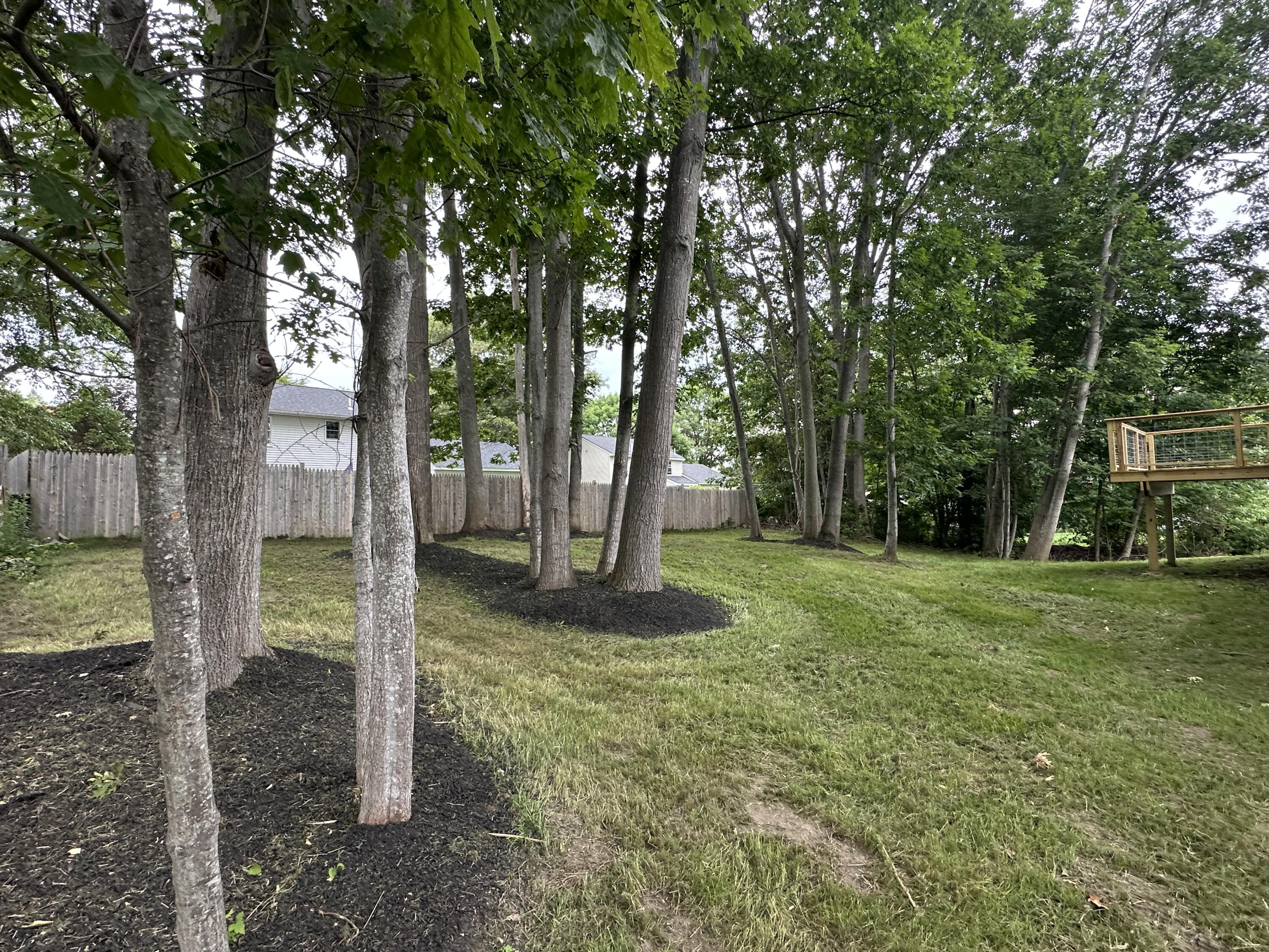 211 Alfred Street Property Photo 77