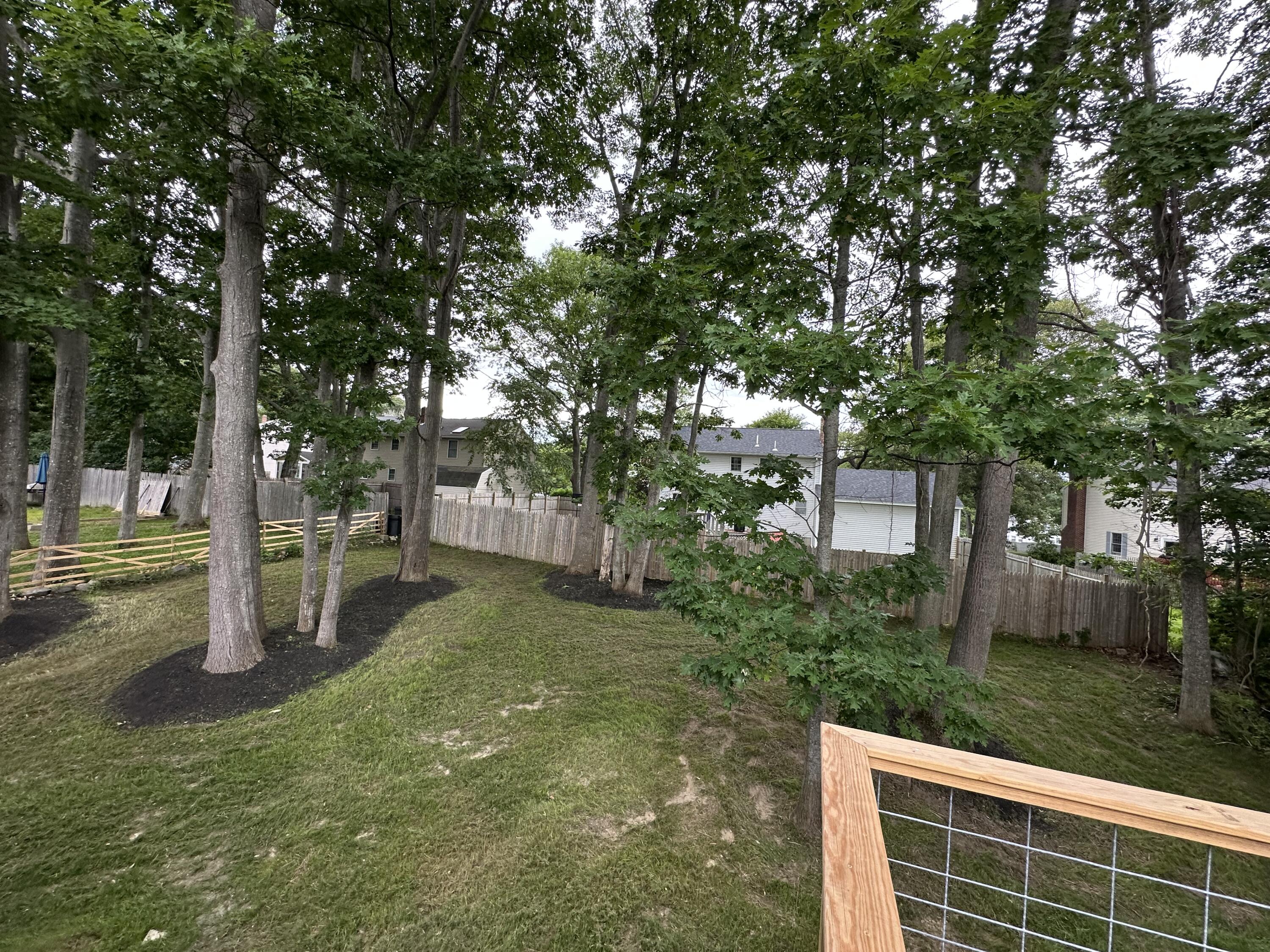 211 Alfred Street Property Photo 82