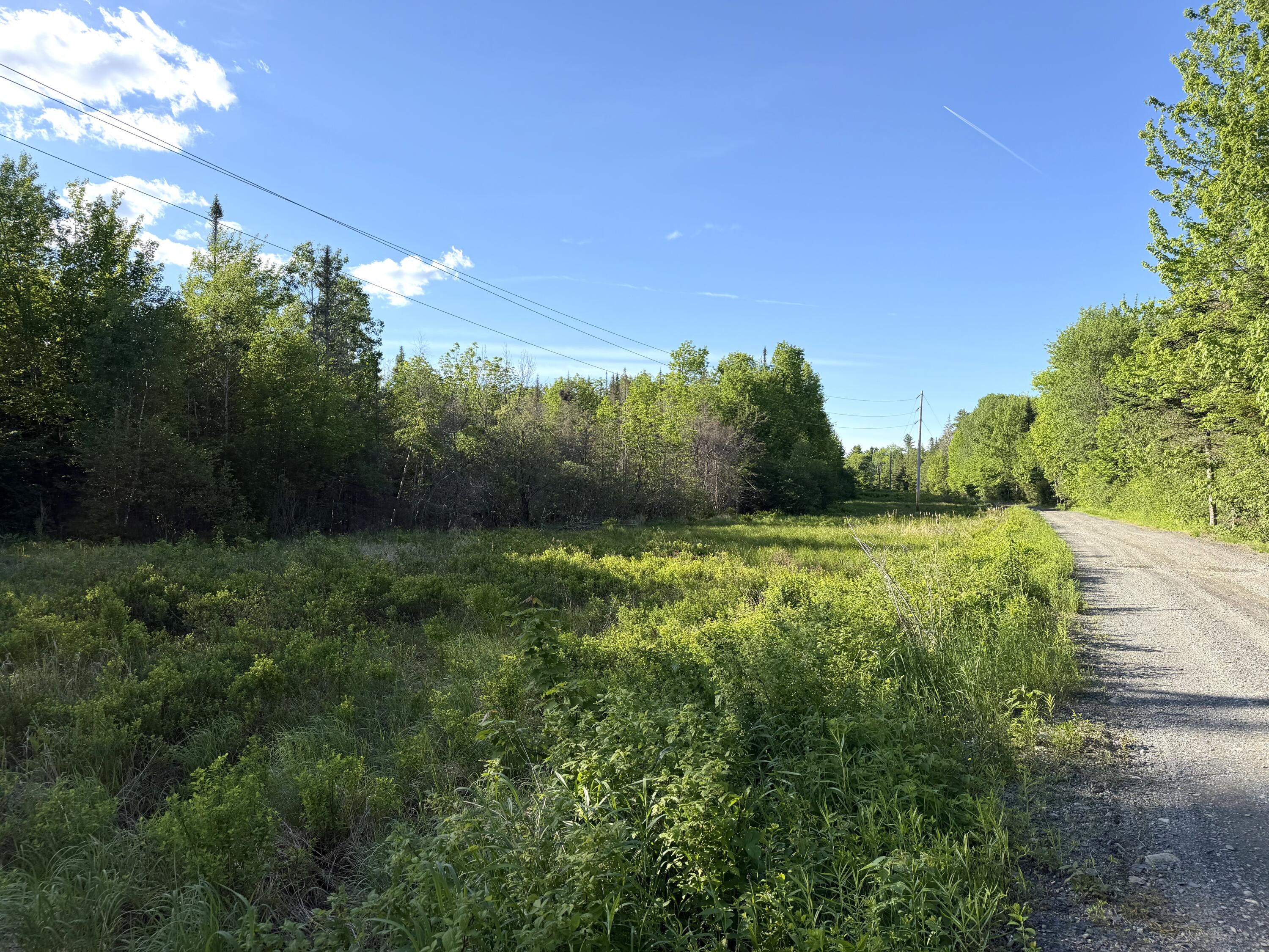 Lot 12-001 Off North Guilford Road Property Photo 1
