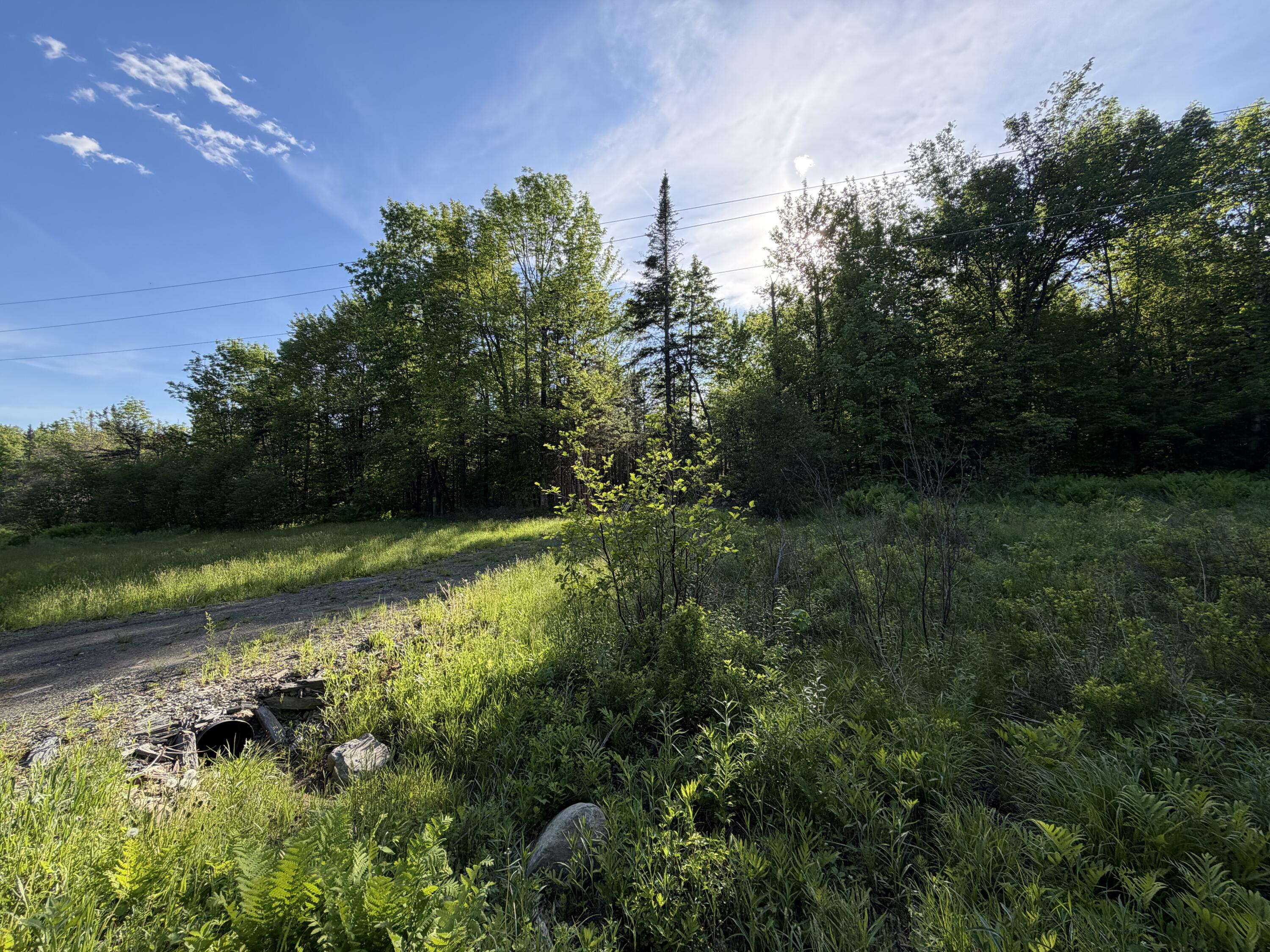 Lot 12-001 Off North Guilford Road Property Photo 4
