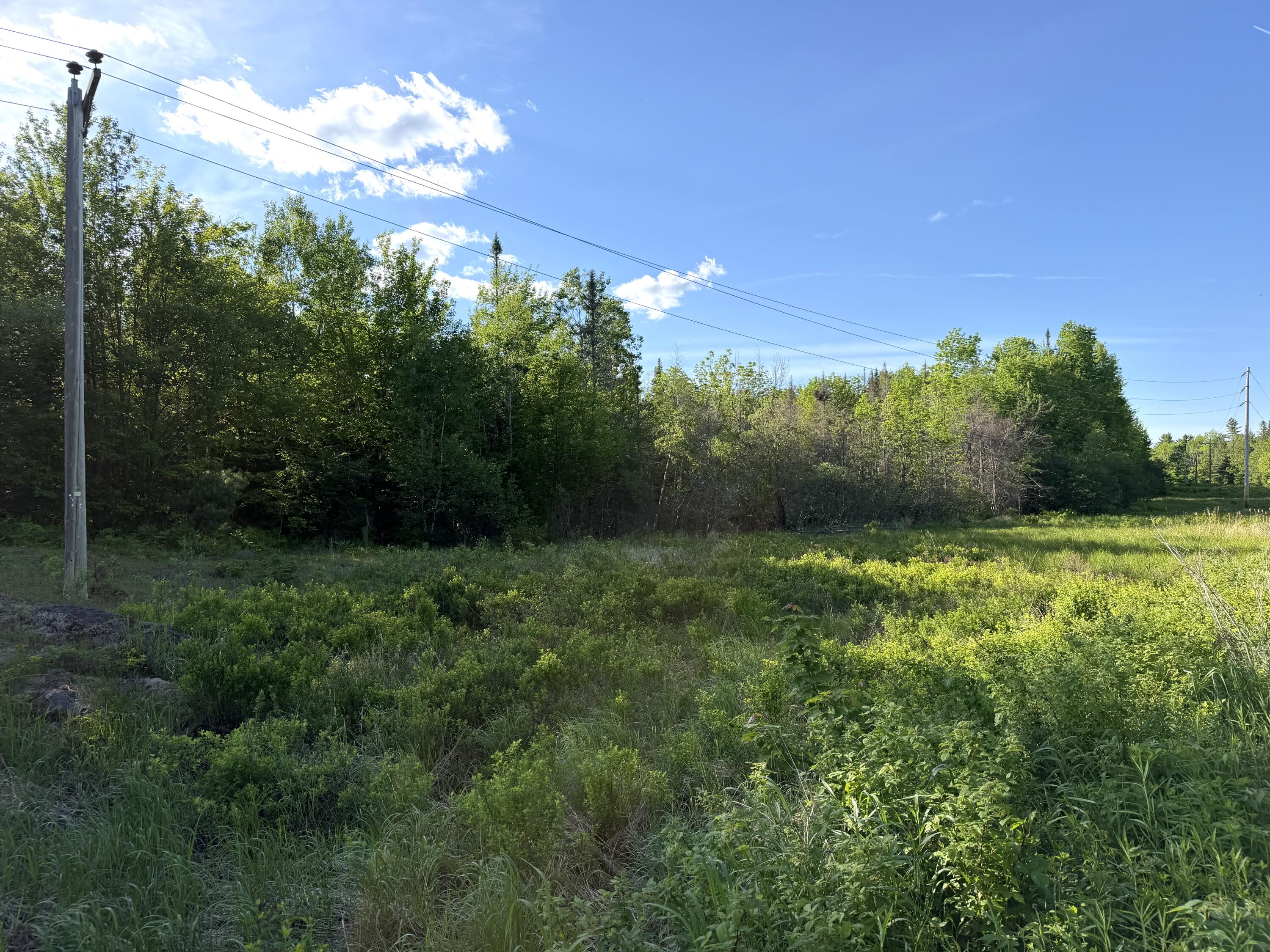 Lot 12-001 Off North Guilford Road Property Photo 5