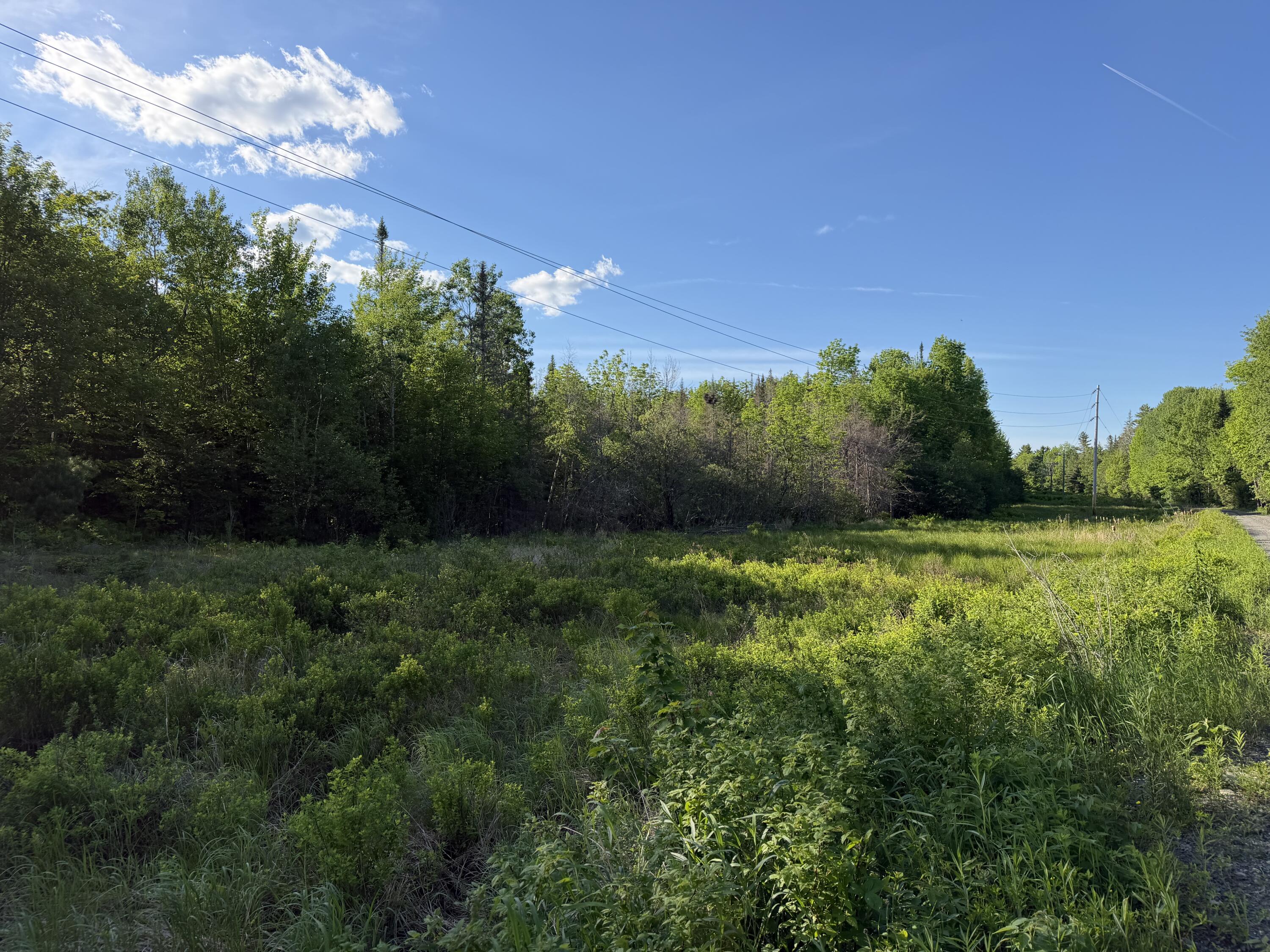 Lot 12-001 Off North Guilford Road Property Photo 6