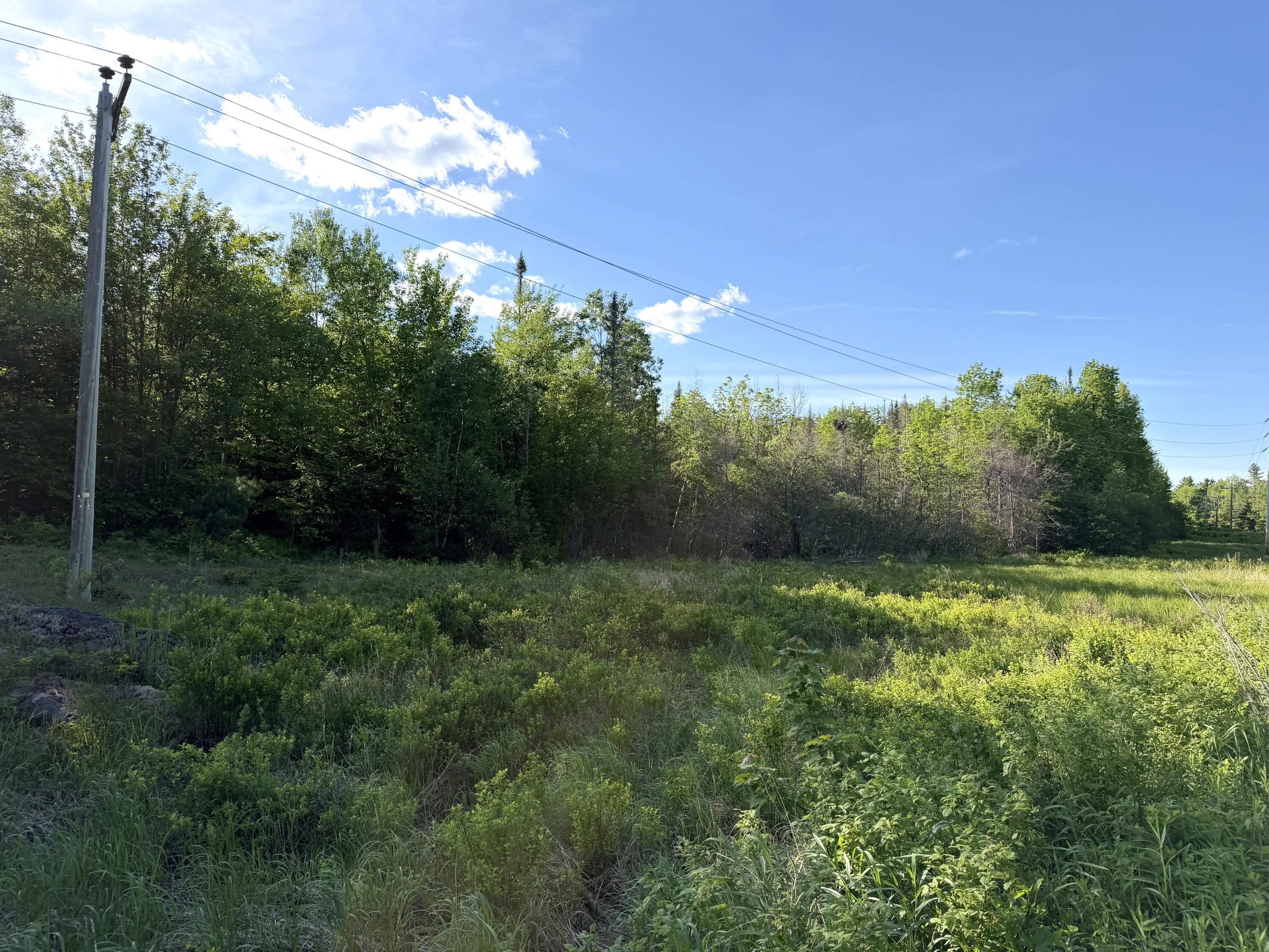 Lot 12-001 Off North Guilford Road Property Photo 7