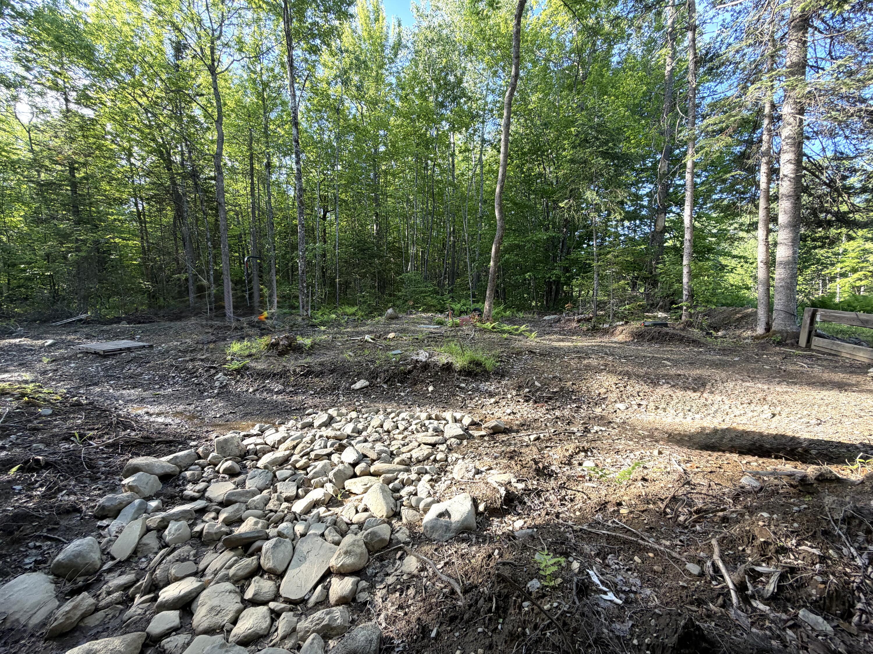 Lot 12-001 Off North Guilford Road Property Photo 12