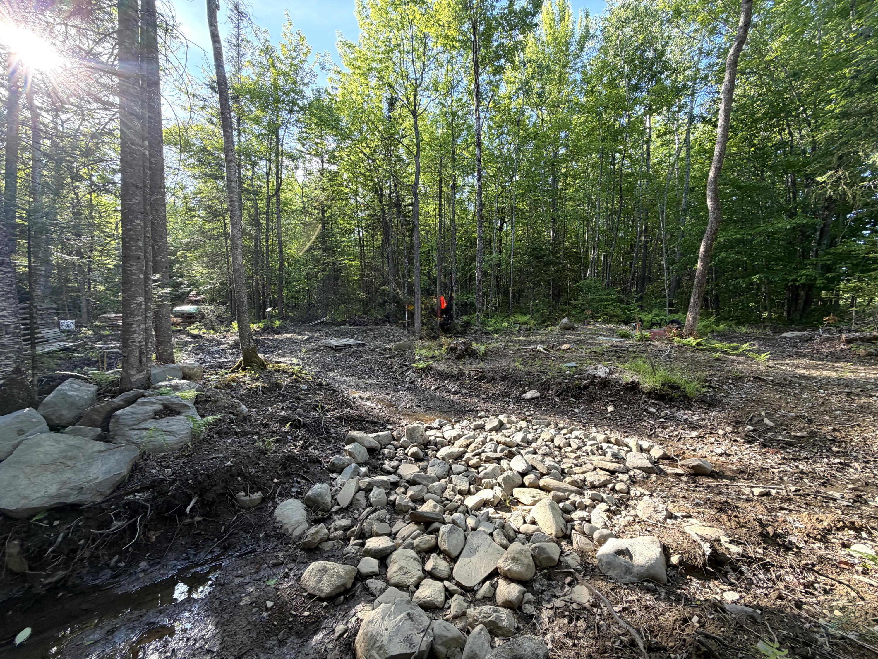 Lot 12-001 Off North Guilford Road Property Photo 13