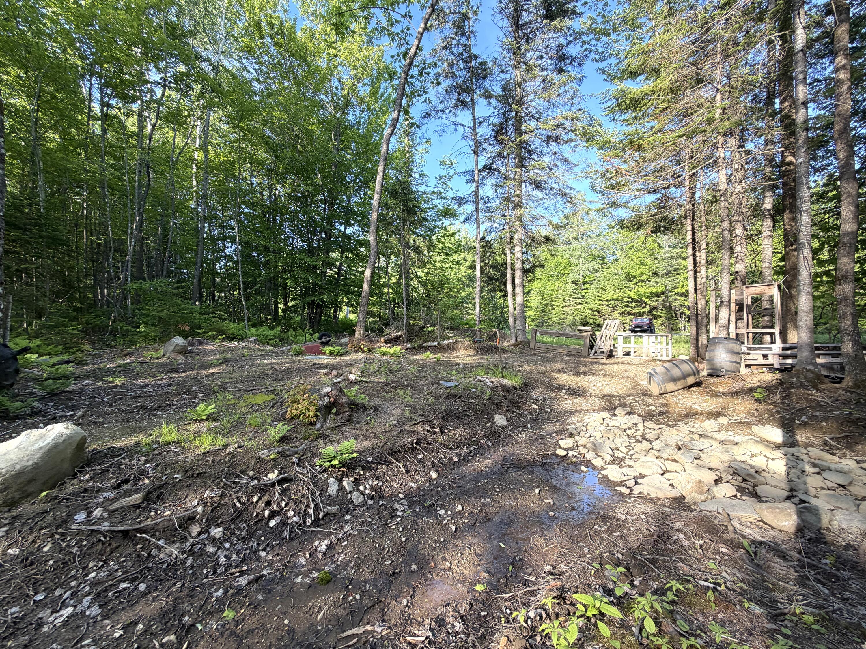 Lot 12-001 Off North Guilford Road Property Photo 14