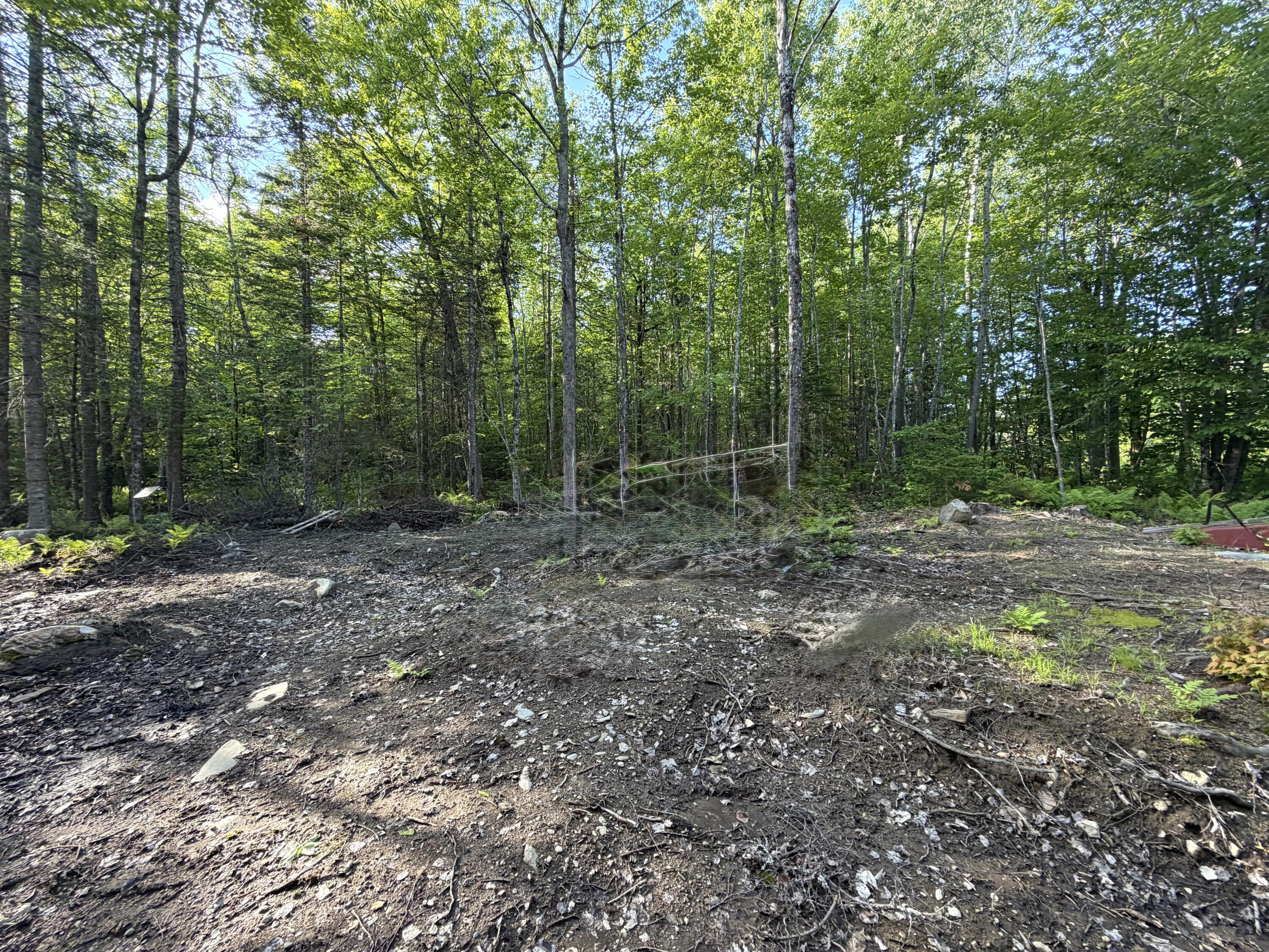 Lot 12-001 Off North Guilford Road Property Photo 15