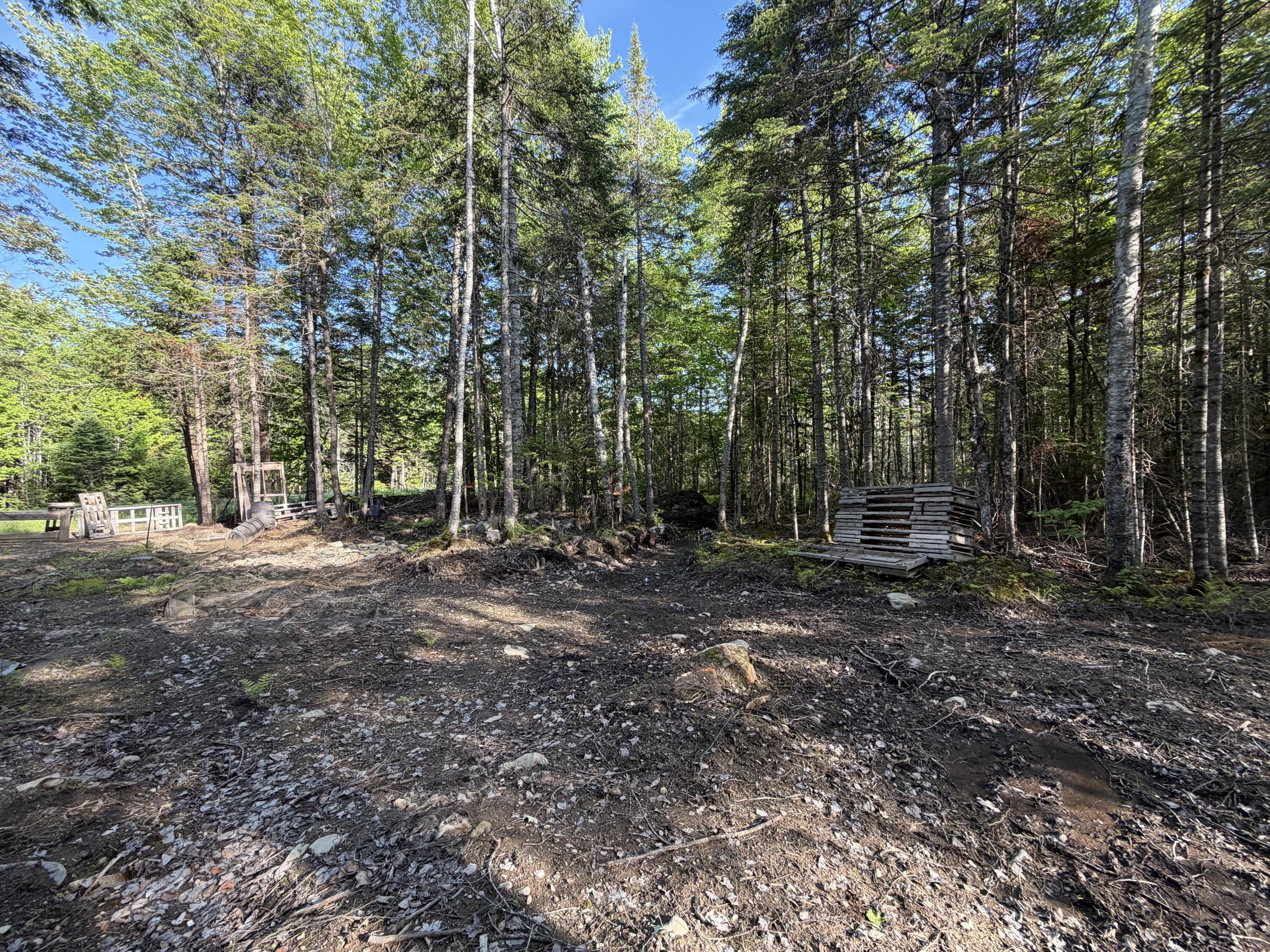 Lot 12-001 Off North Guilford Road Property Photo 16