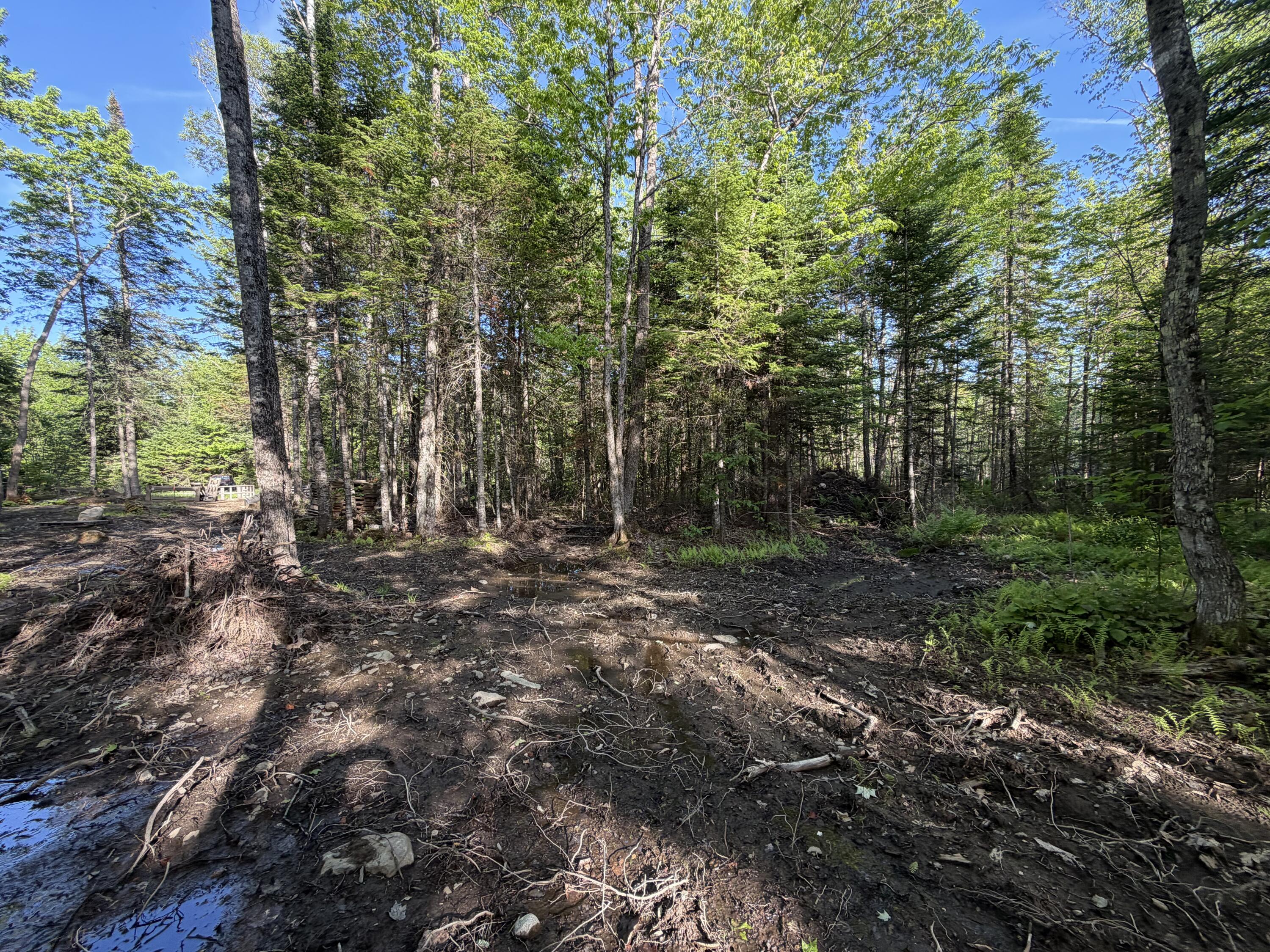Lot 12-001 Off North Guilford Road Property Photo 18